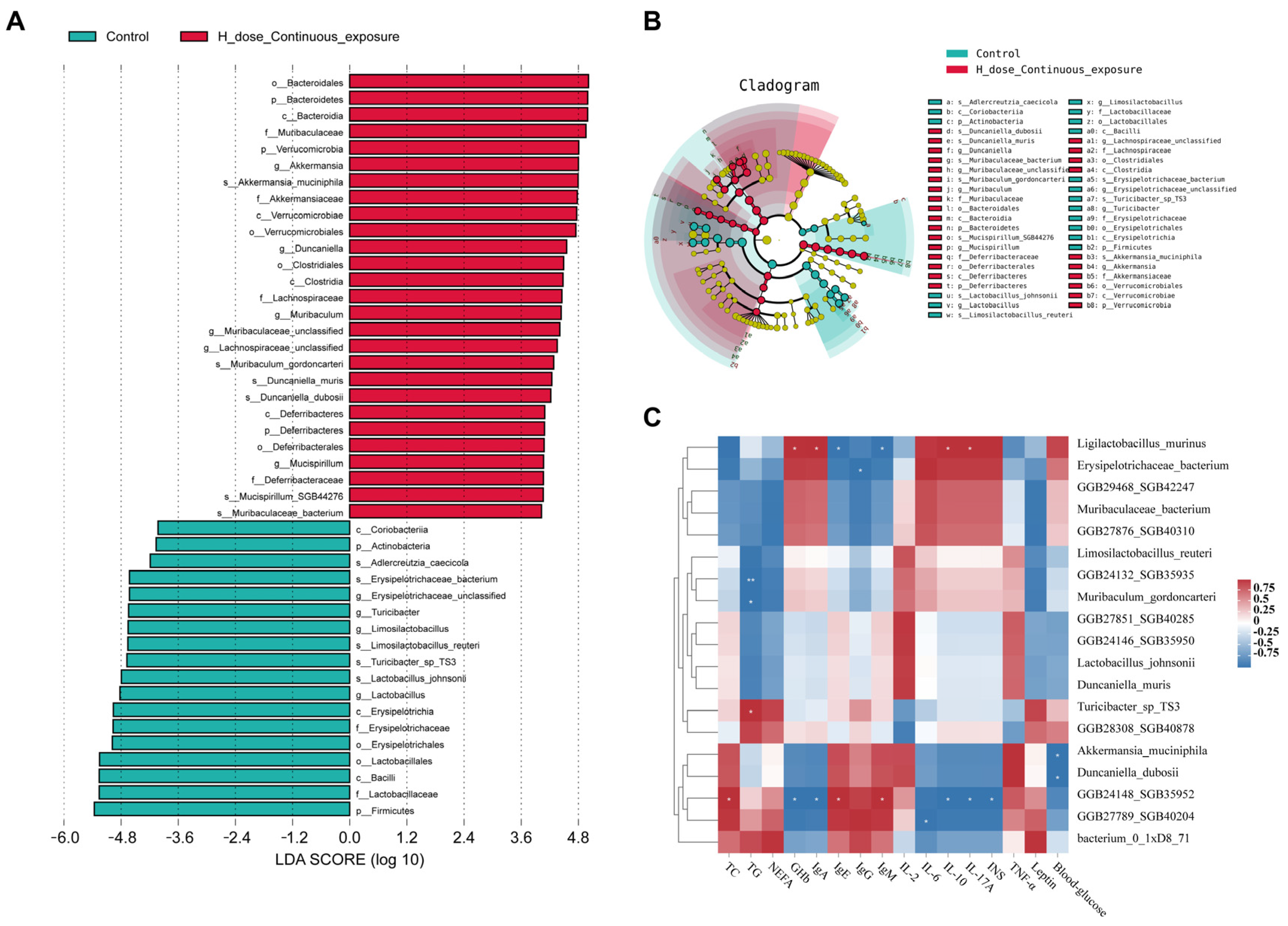 Microorganisms 12 00381 g016