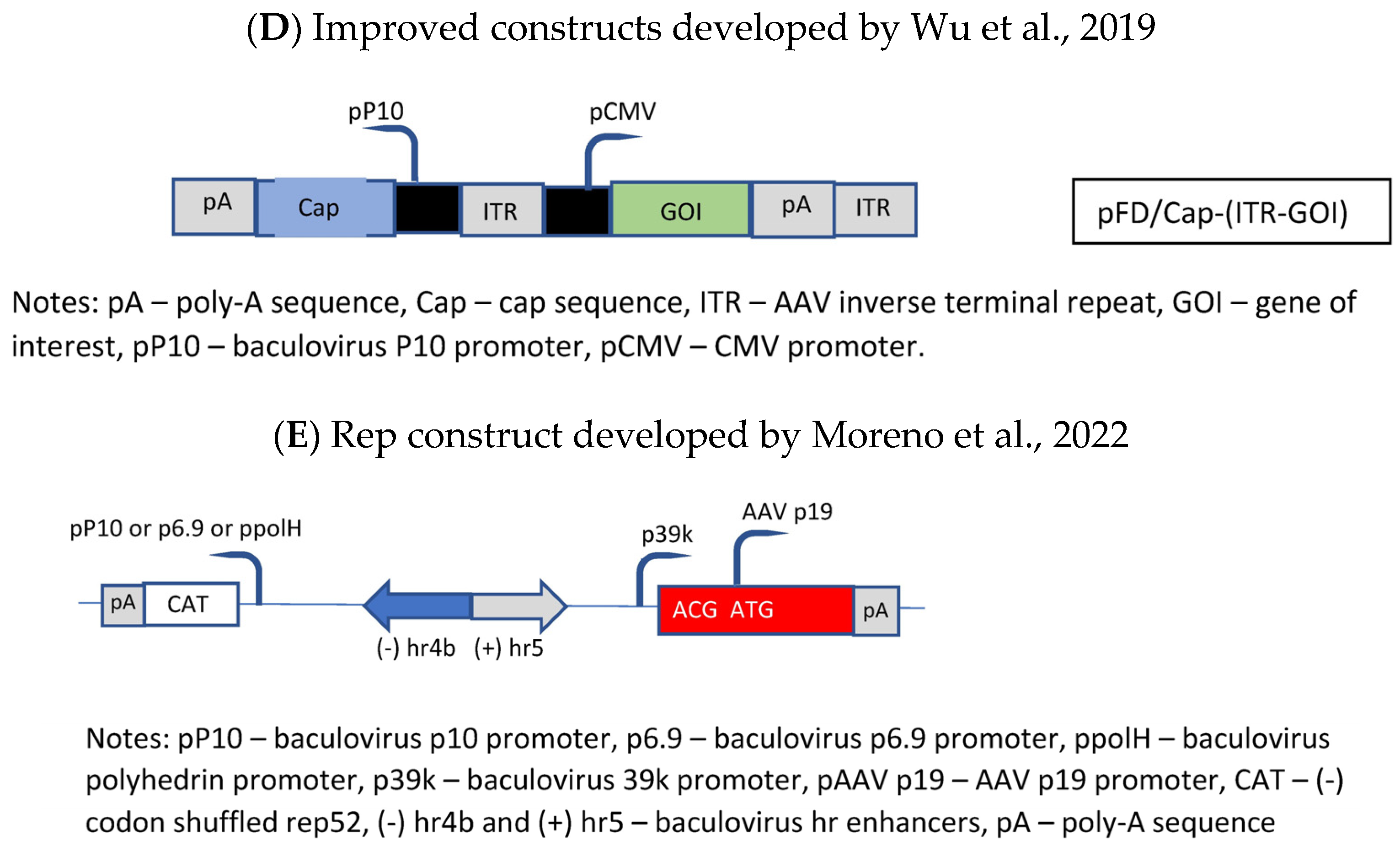 Microorganisms 12 00384 g005b
