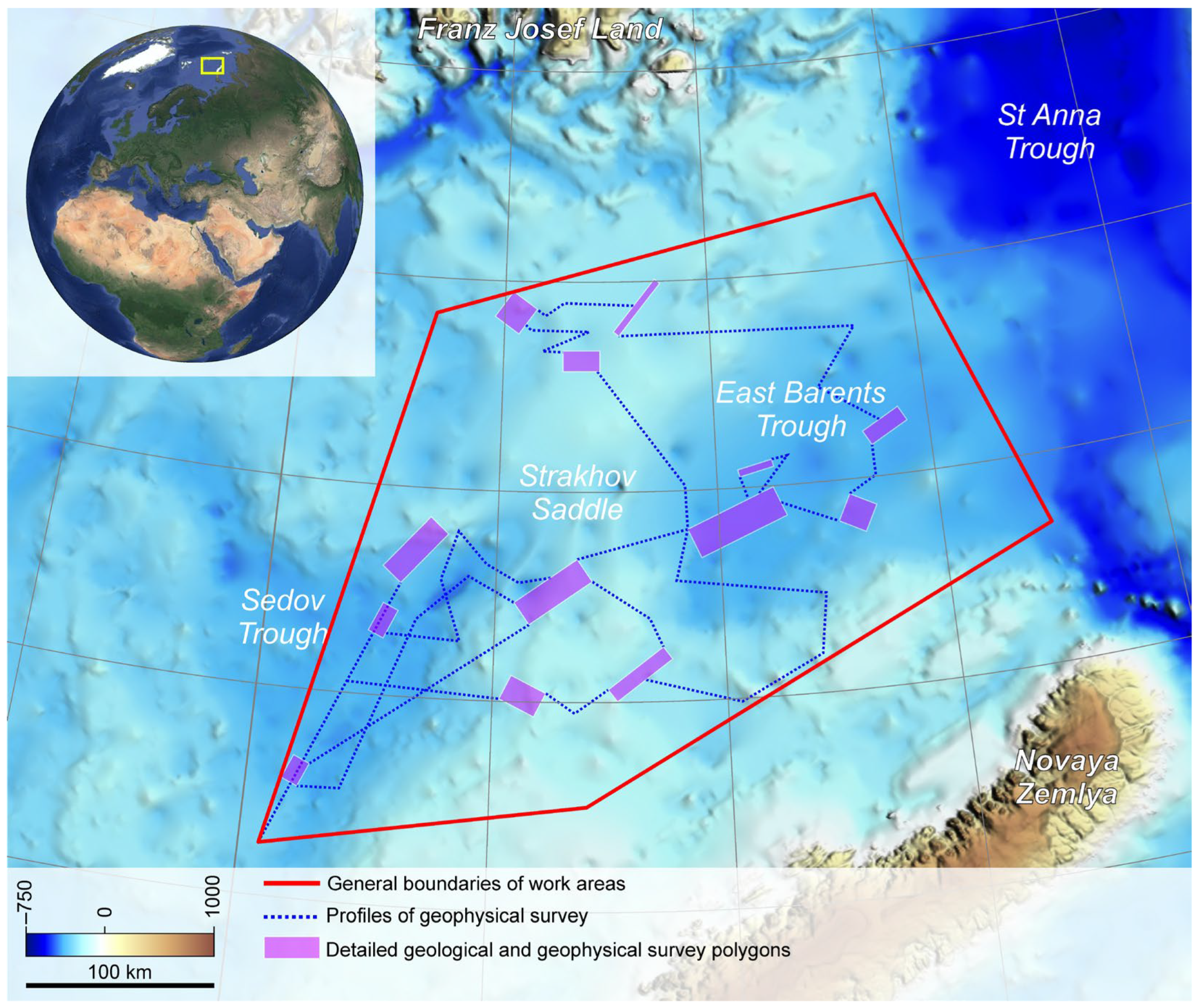 Microorganisms 12 00387 g001