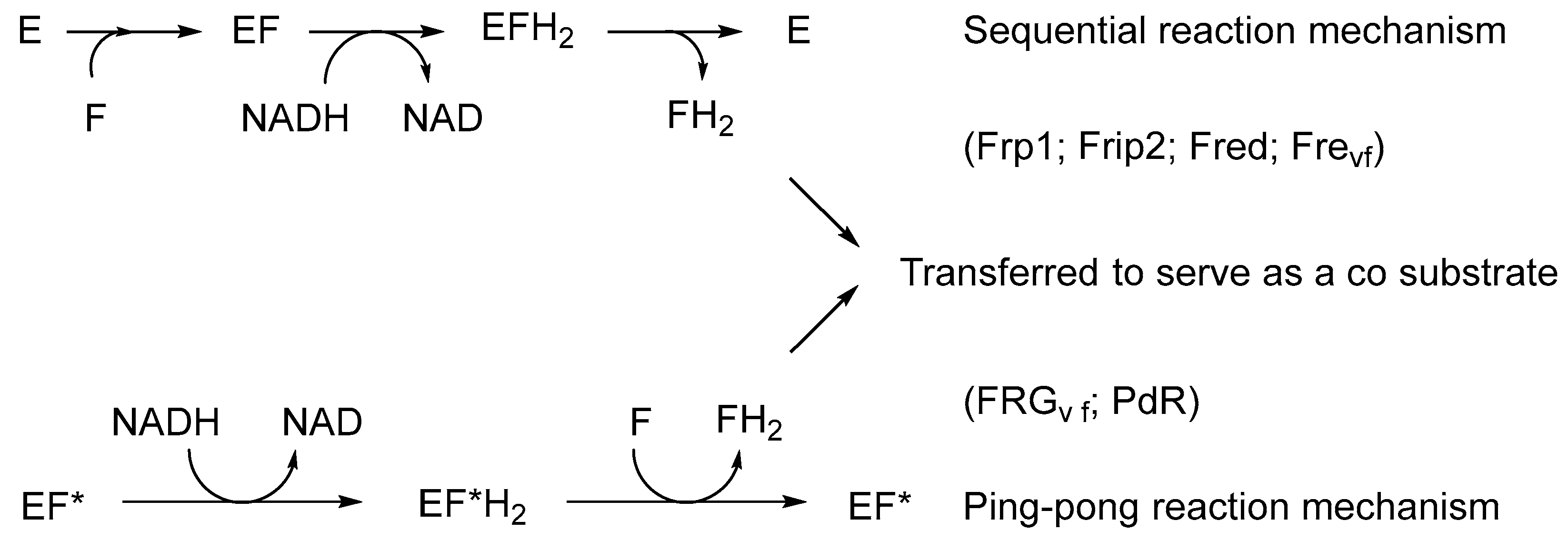 Microorganisms 12 00389 g006