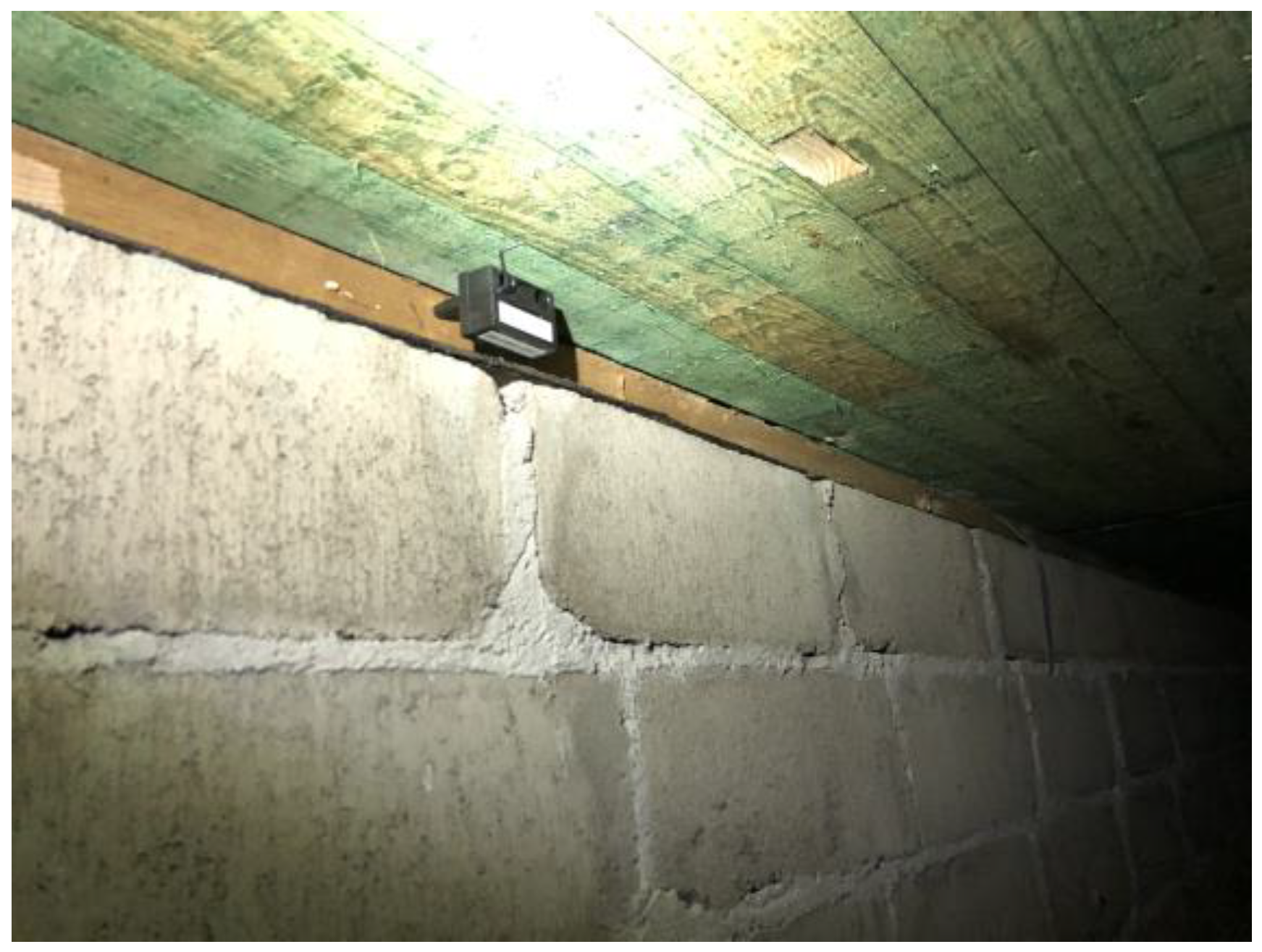 Microorganisms 12 00395 g002 Microorganisms 12 00395 g002