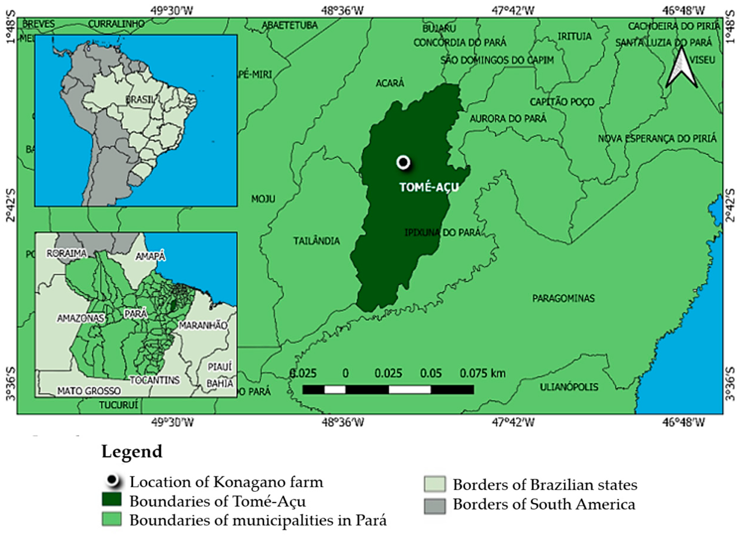 Microorganisms 12 00398 g001