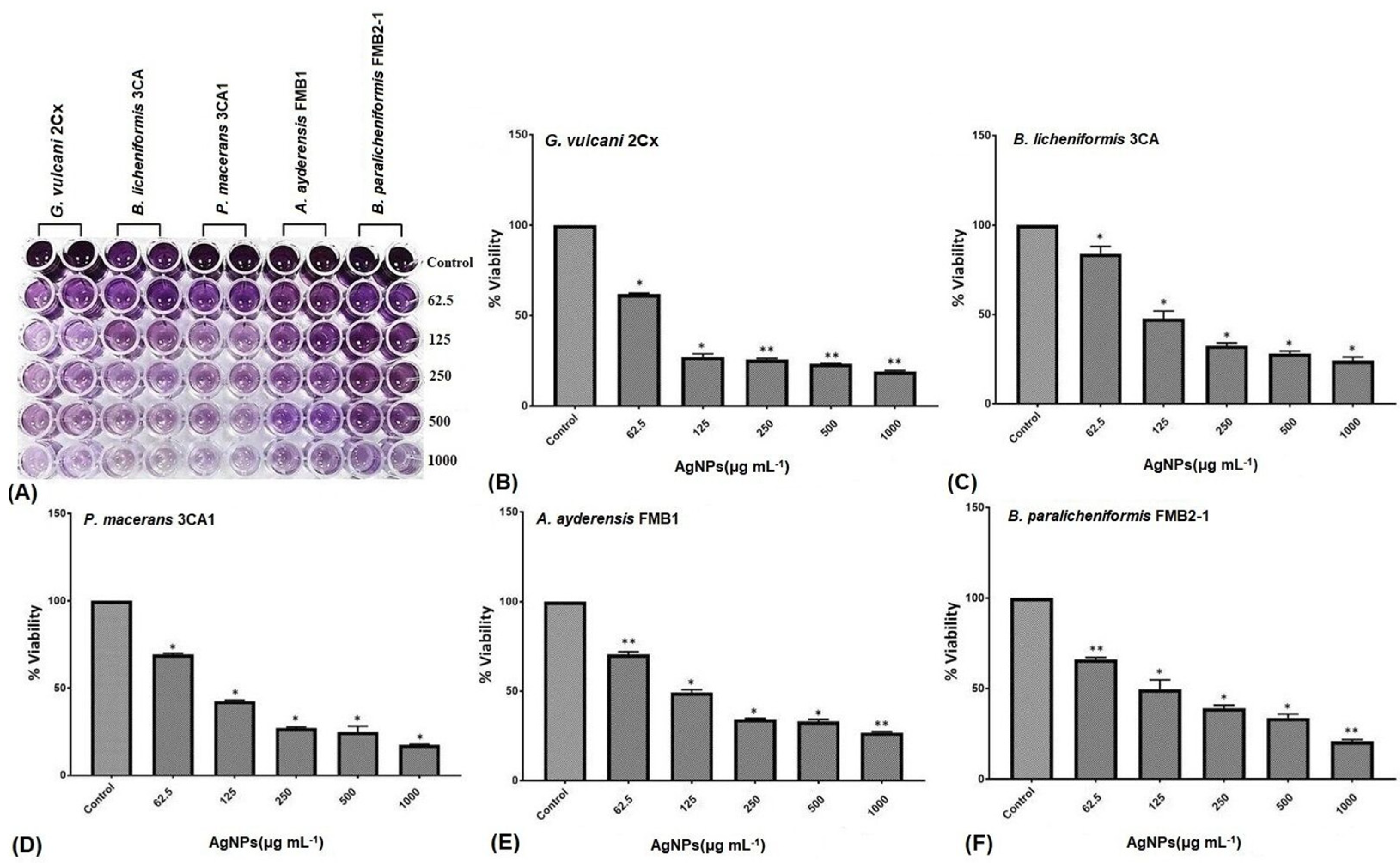Microorganisms 12 00402 g004