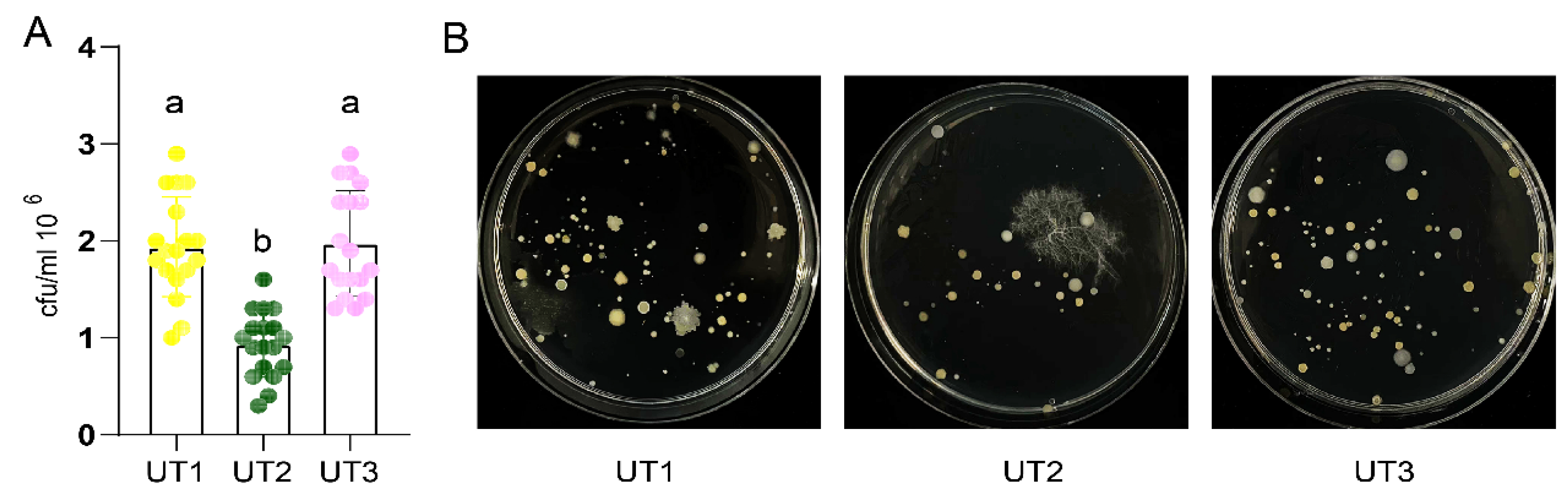 Microorganisms 12 00403 g003