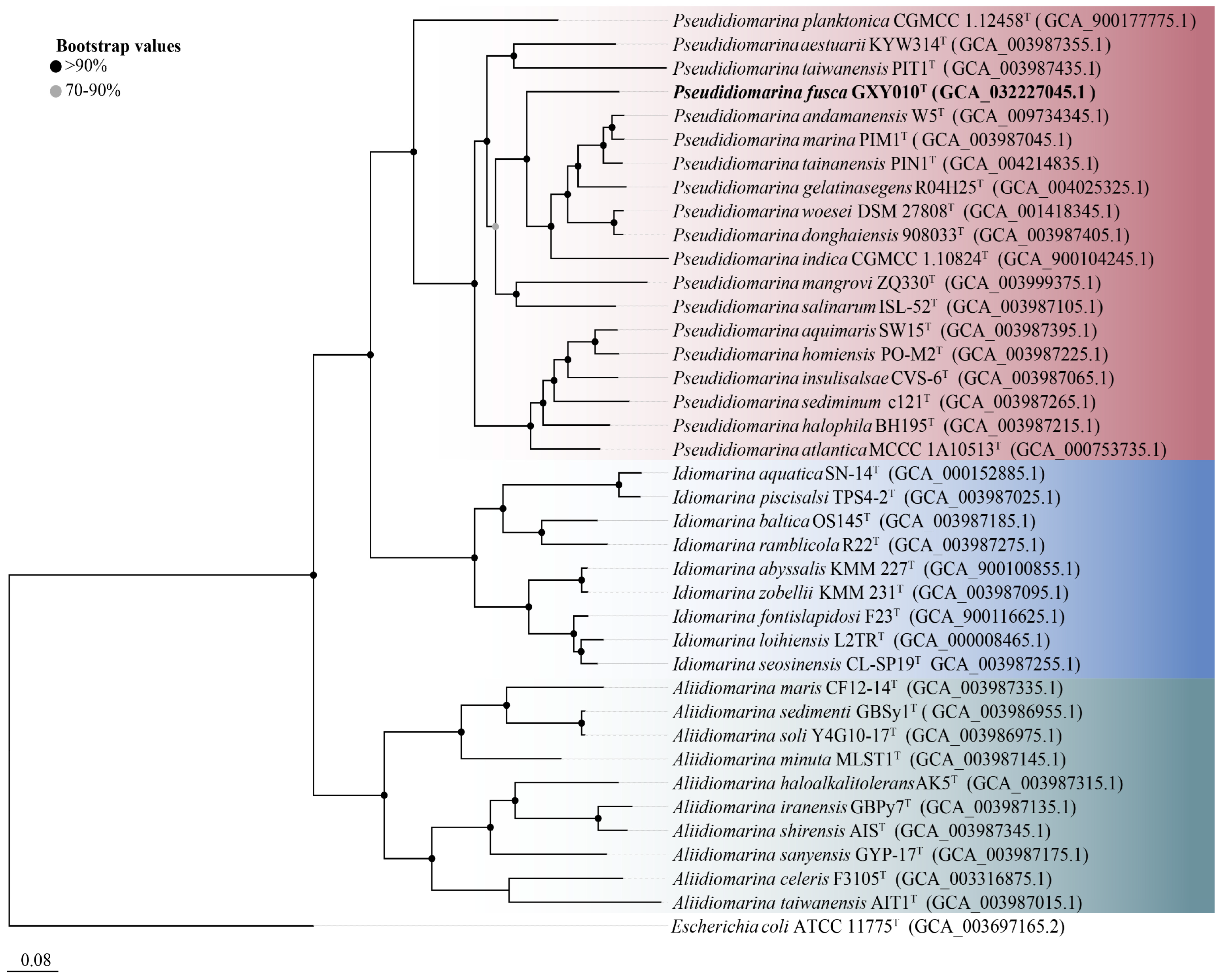 Microorganisms 12 00408 g002