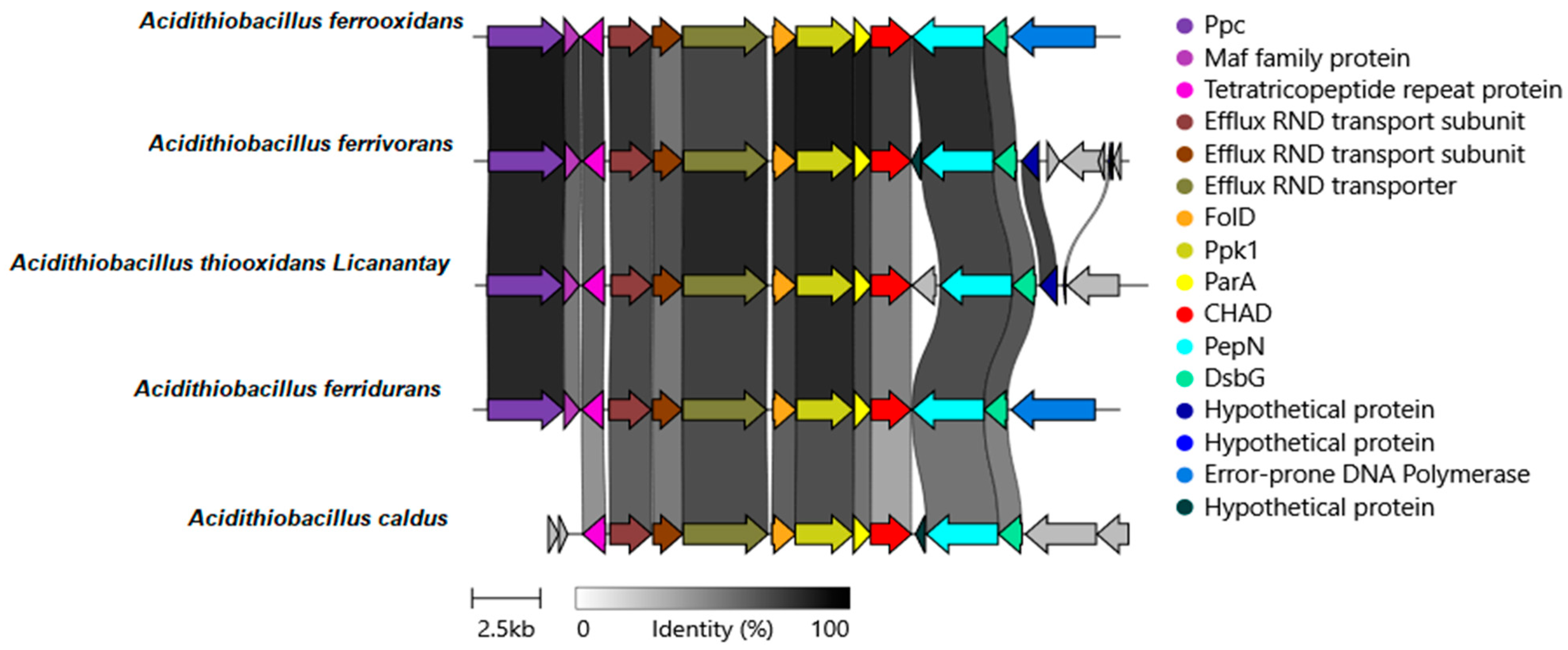 Microorganisms 12 00409 g001