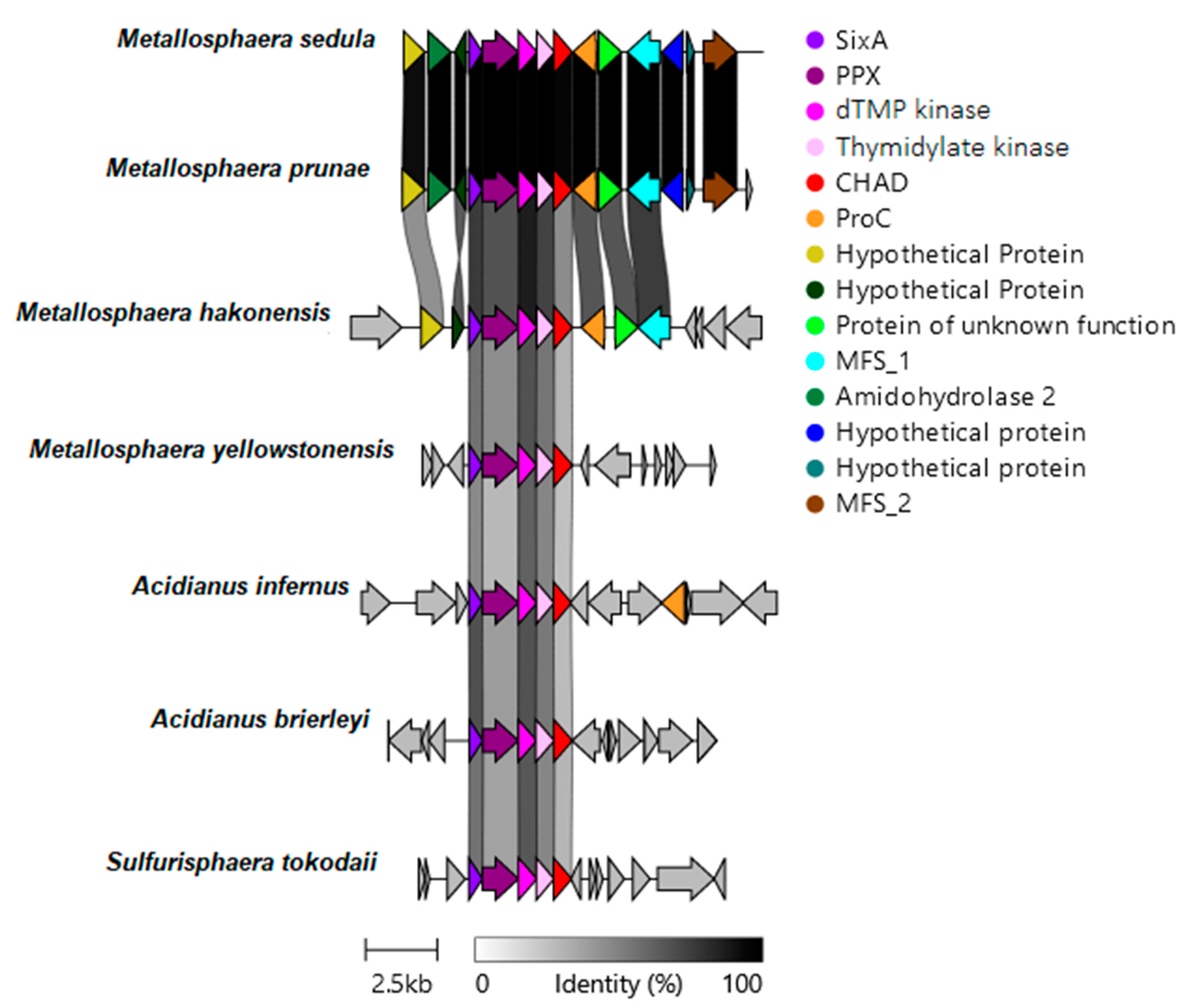 Microorganisms 12 00409 g002