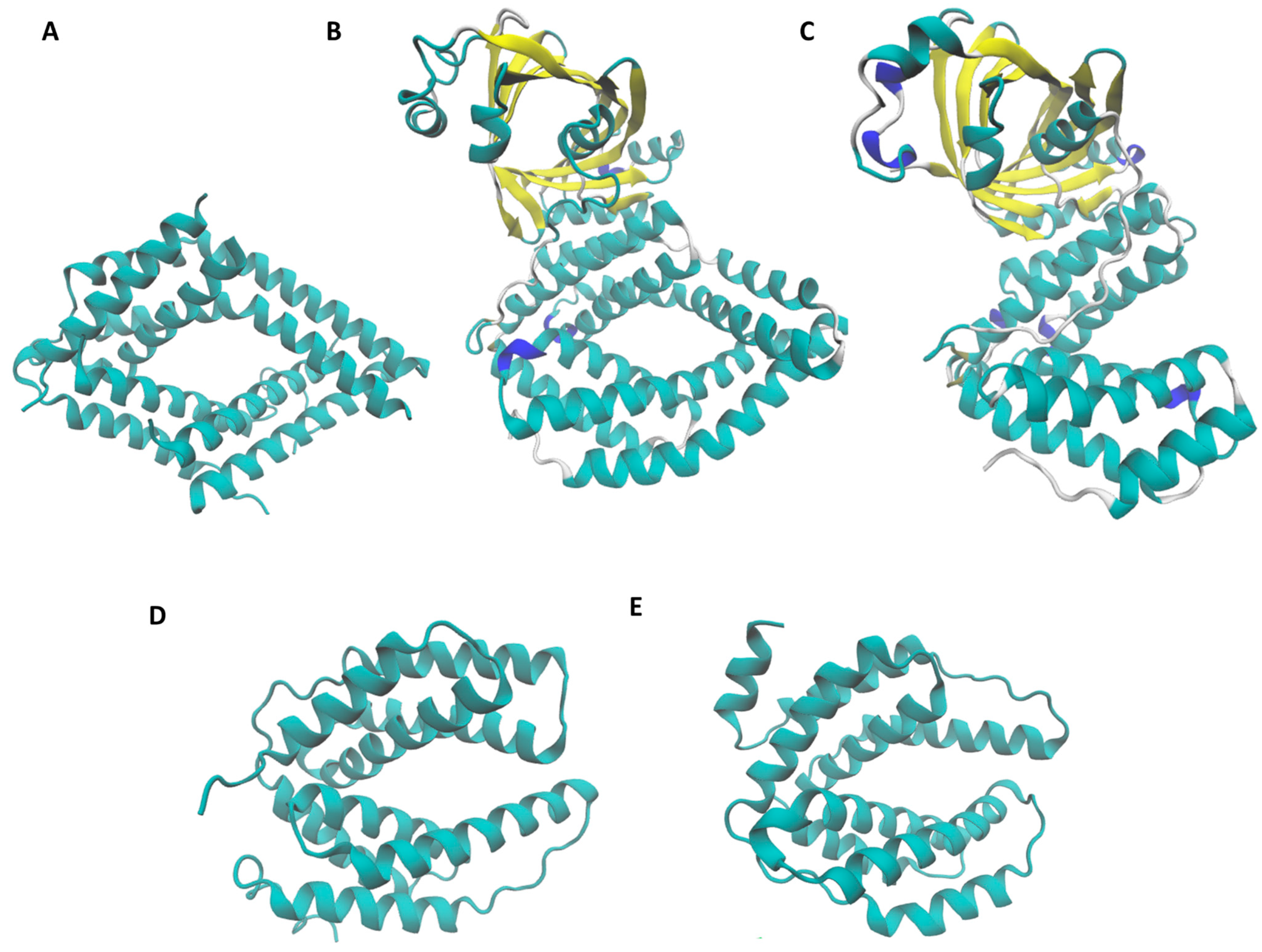 Microorganisms 12 00409 g003