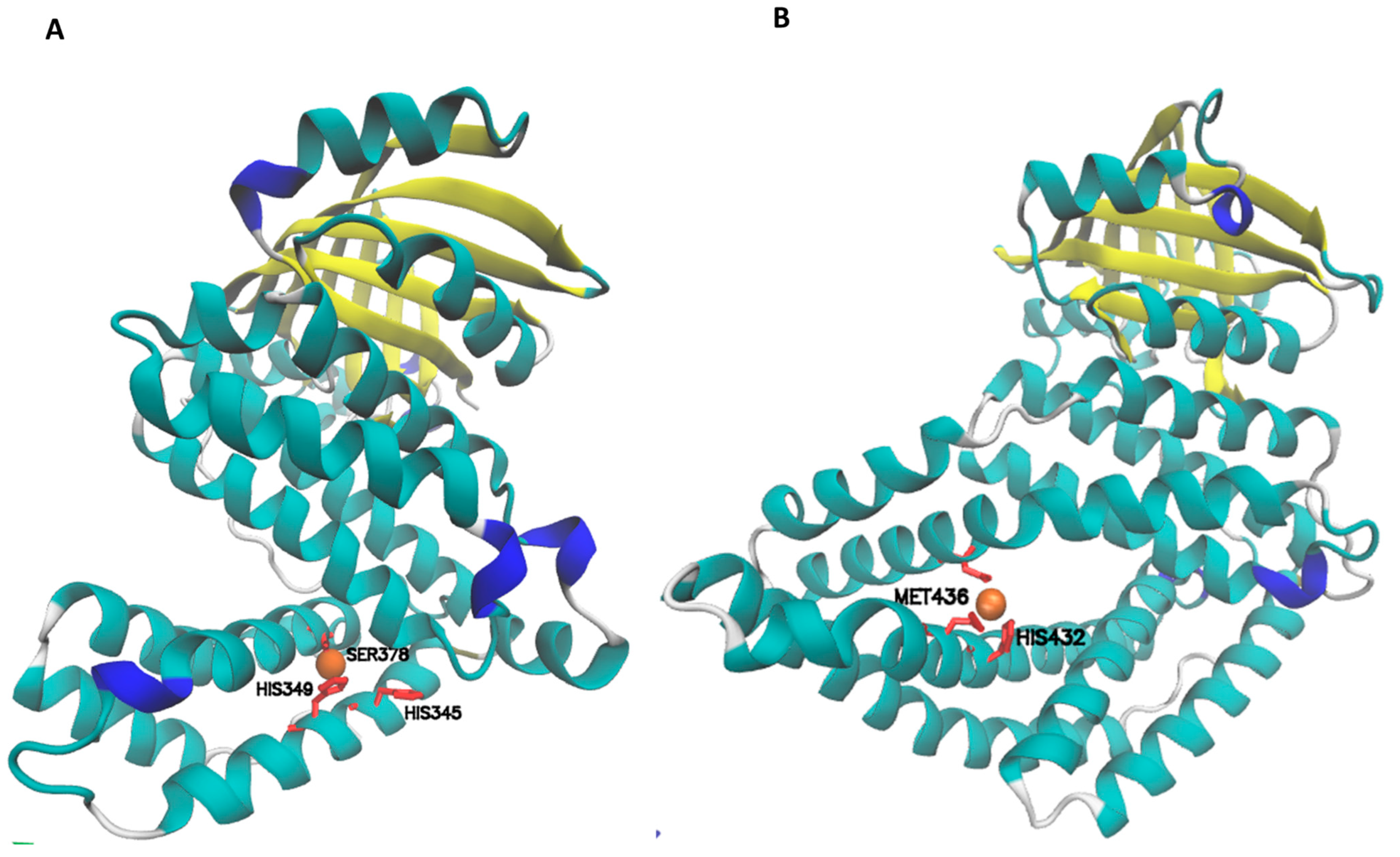 Microorganisms 12 00409 g004