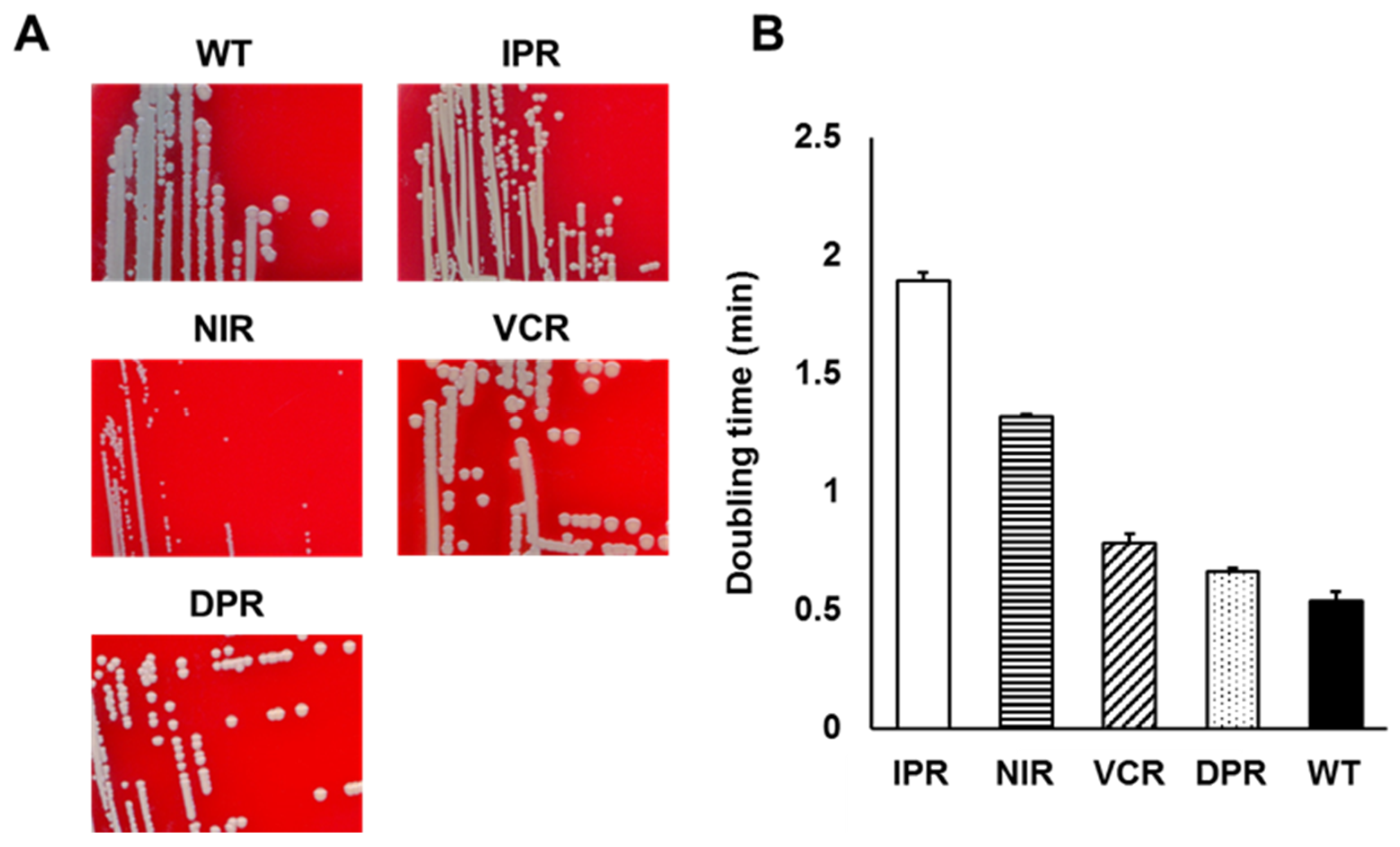 Microorganisms 12 00412 g002