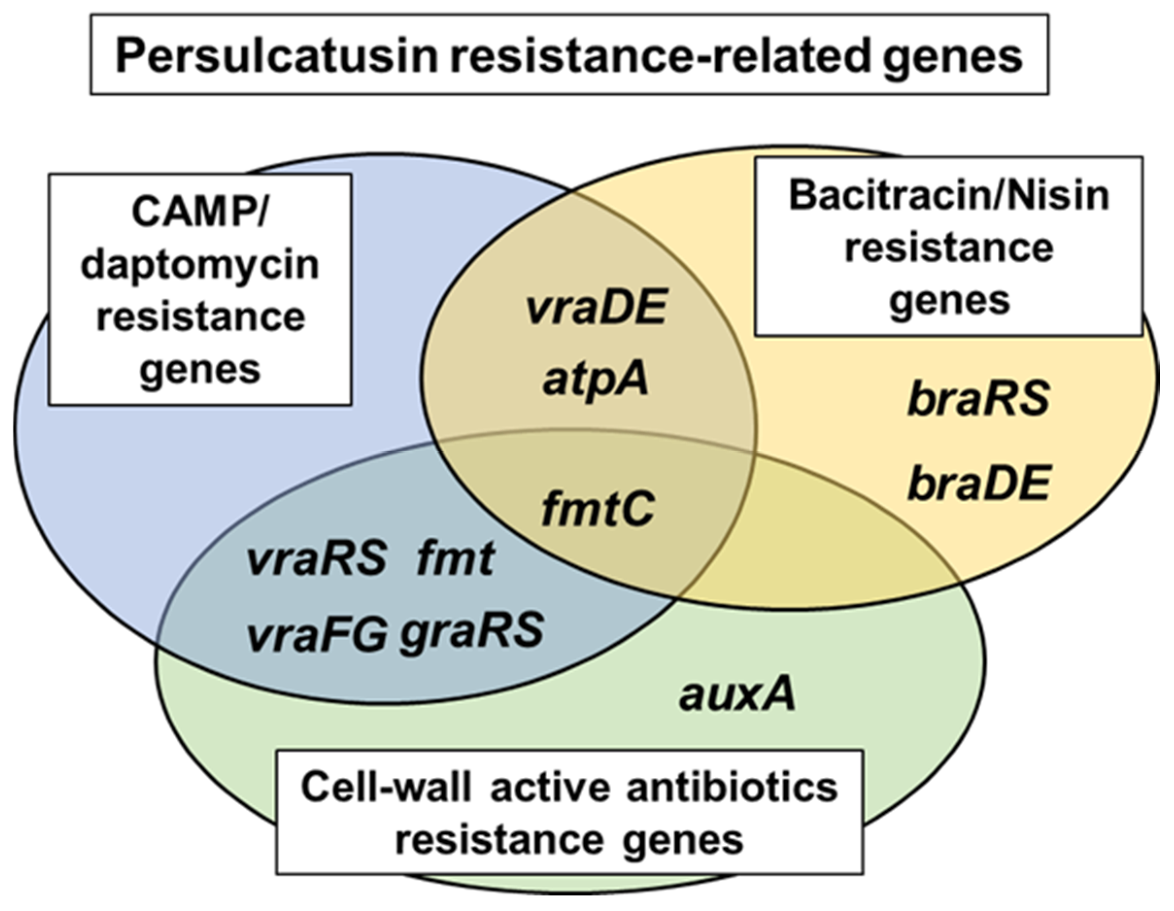 Microorganisms 12 00412 g004