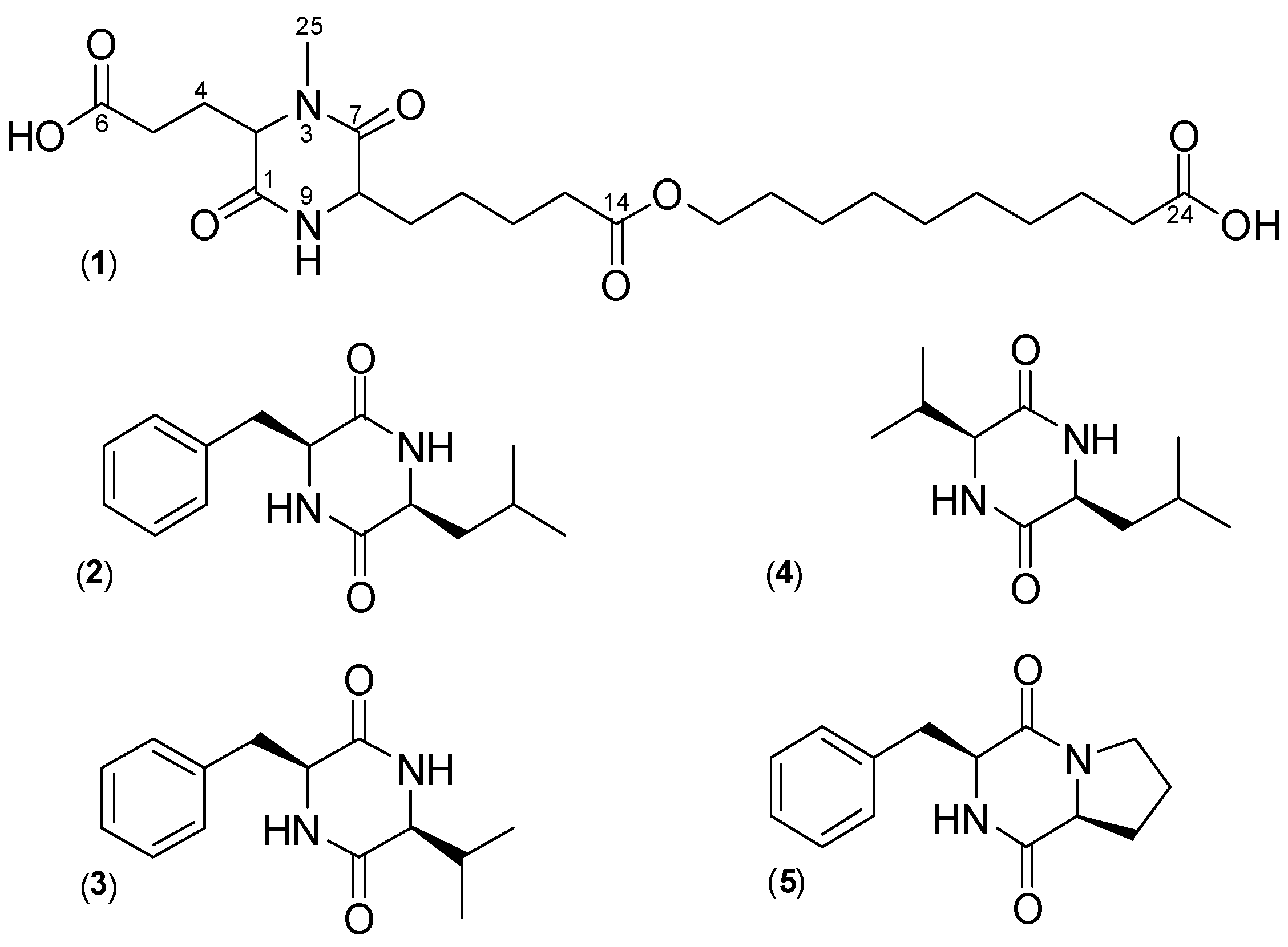 Microorganisms 12 00413 g006