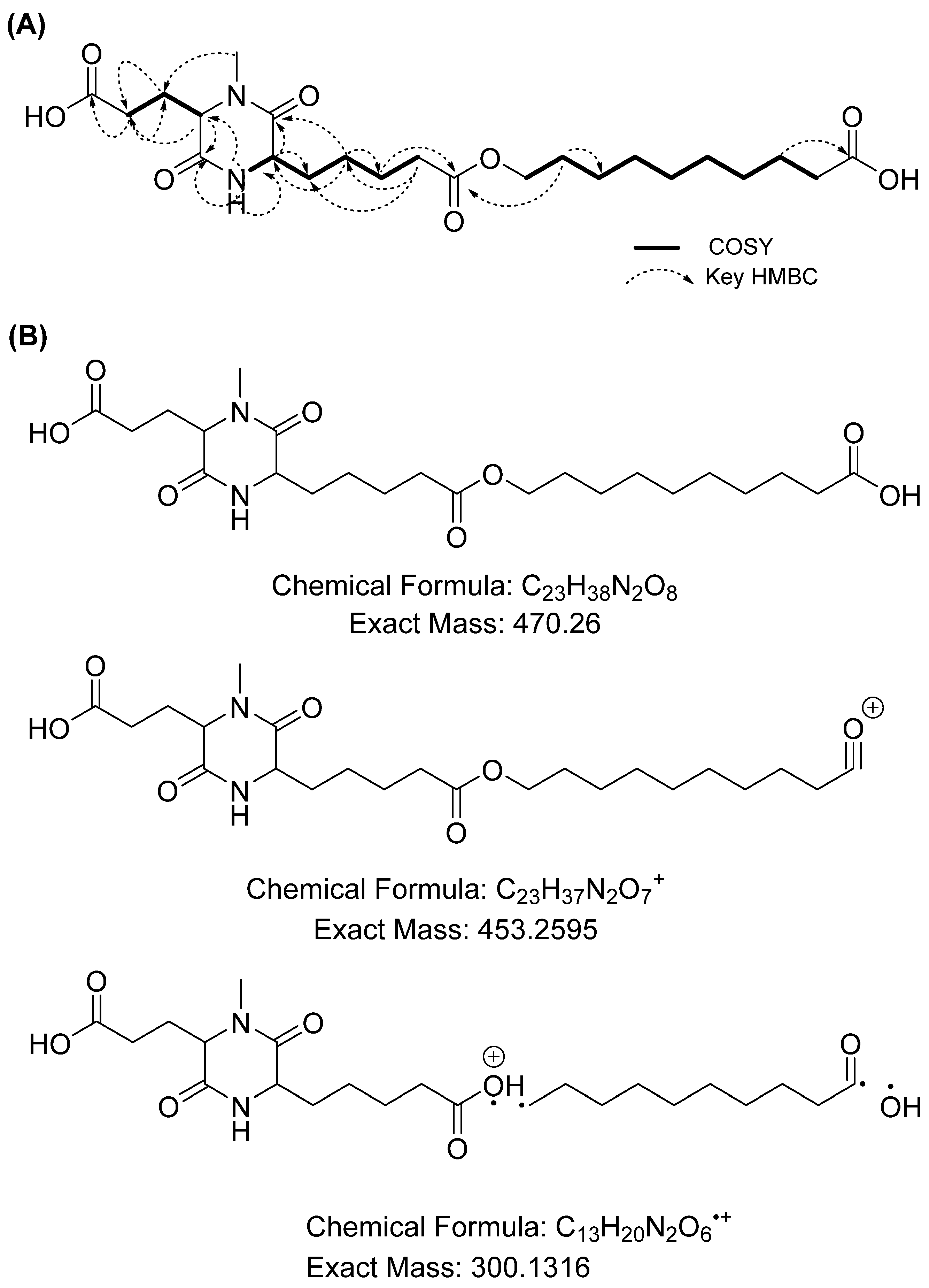 Microorganisms 12 00413 g007
