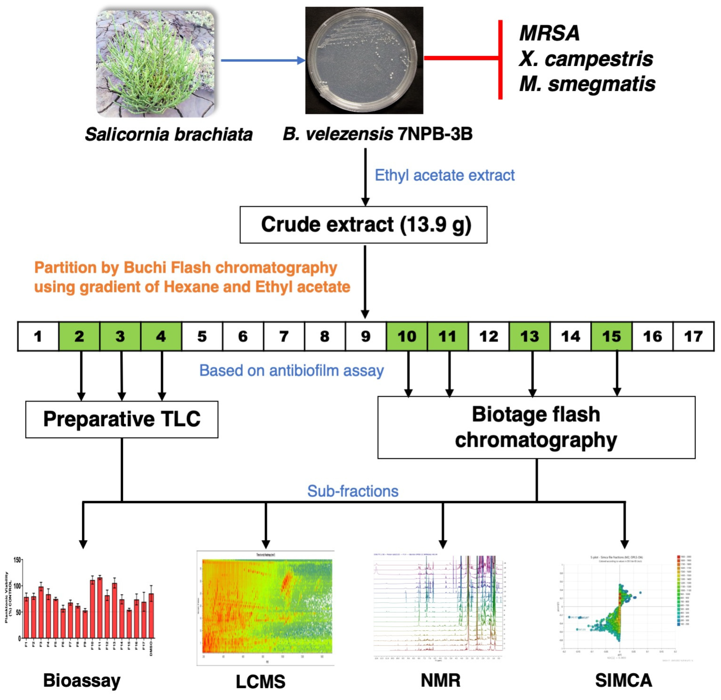 Microorganisms 12 00413 sch001