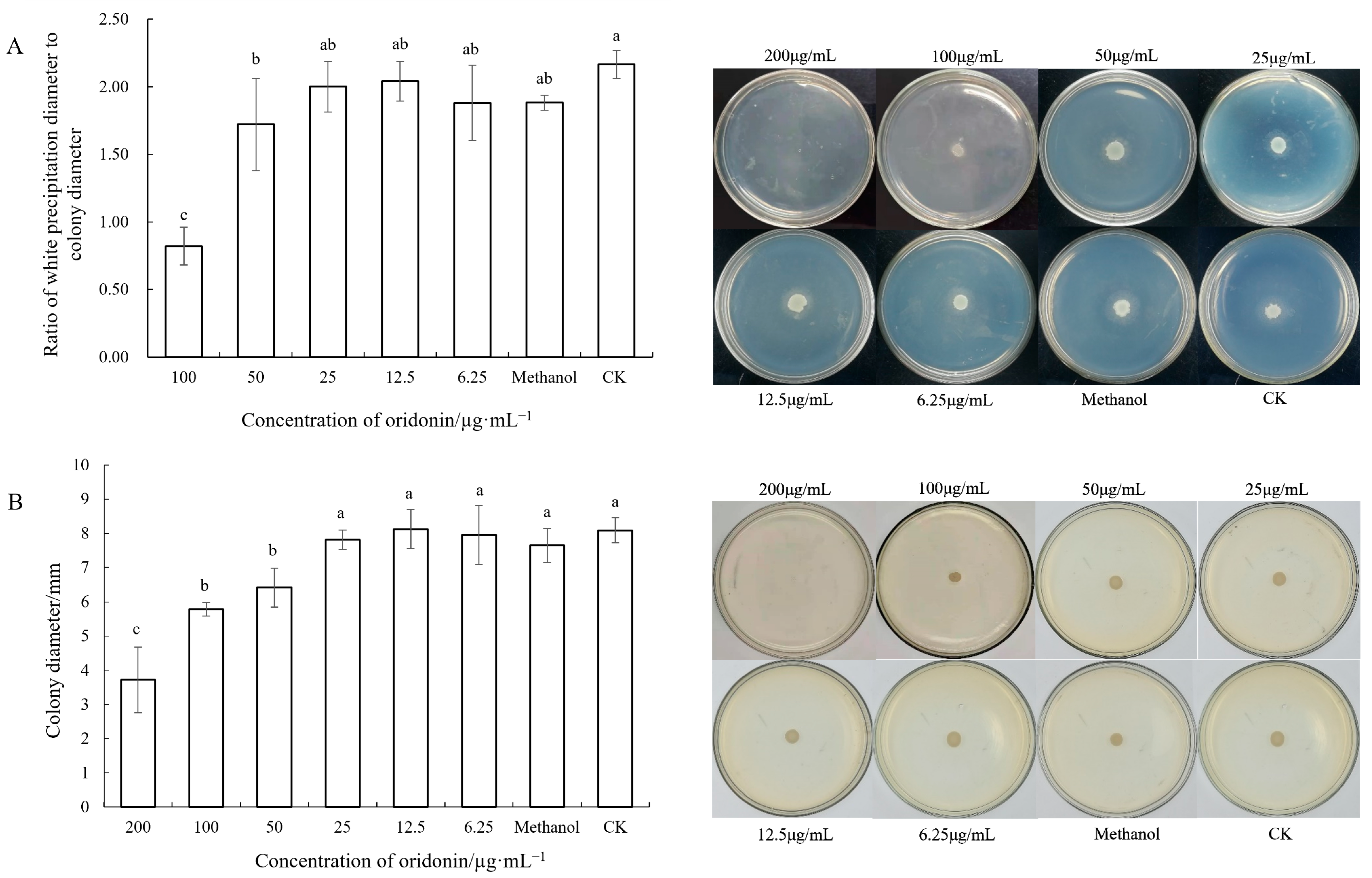 Microorganisms 12 00415 g006
