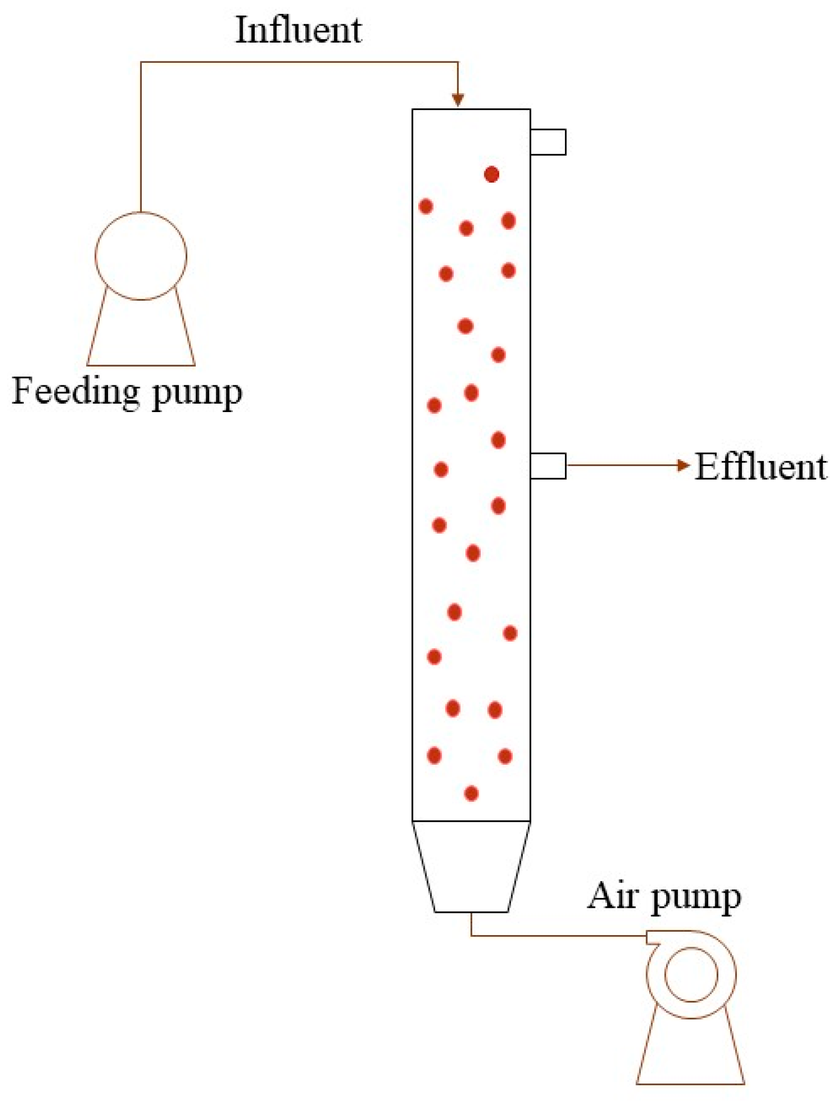 Microorganisms 12 00433 g004