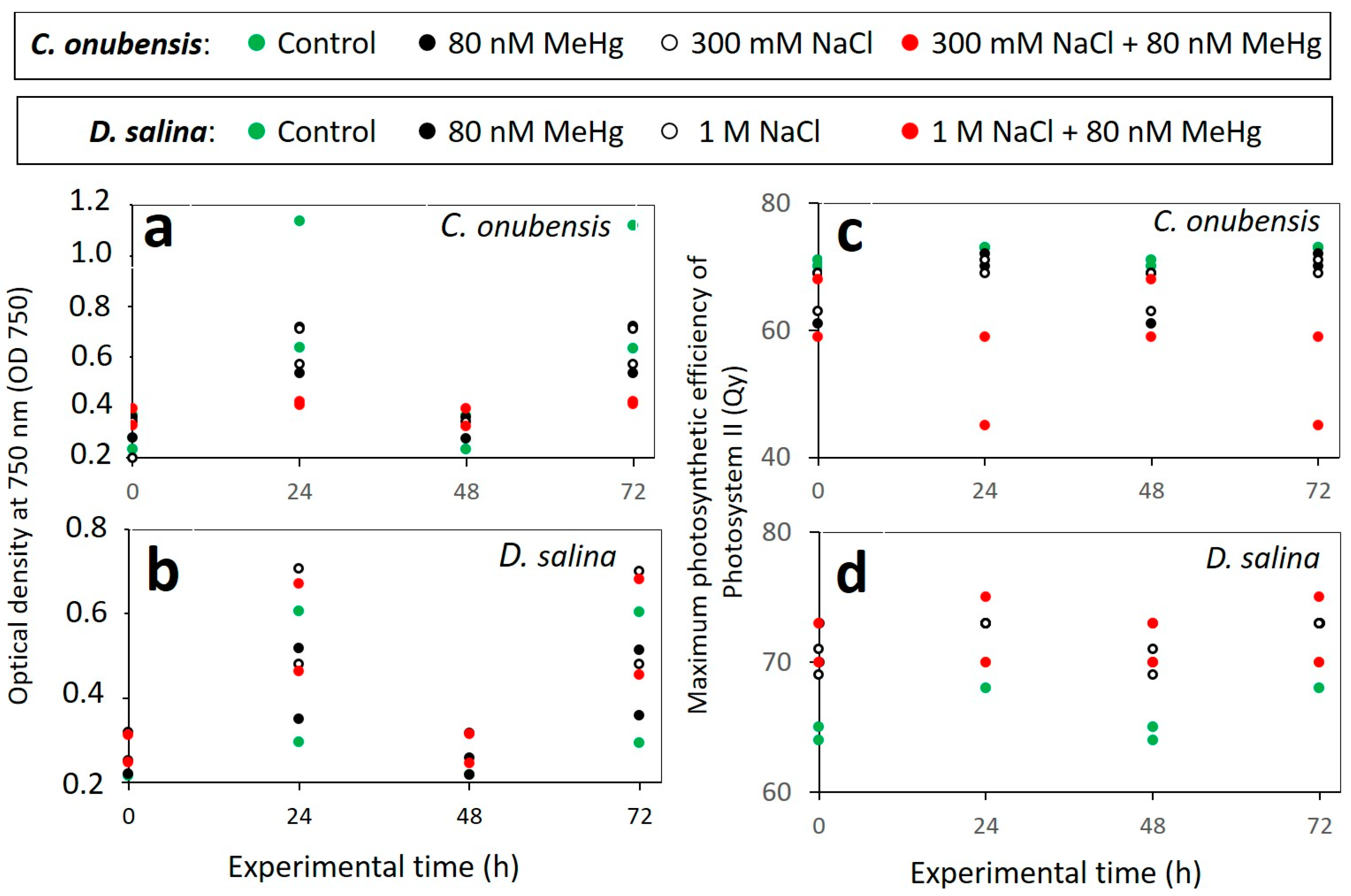 Microorganisms 12 00434 g002