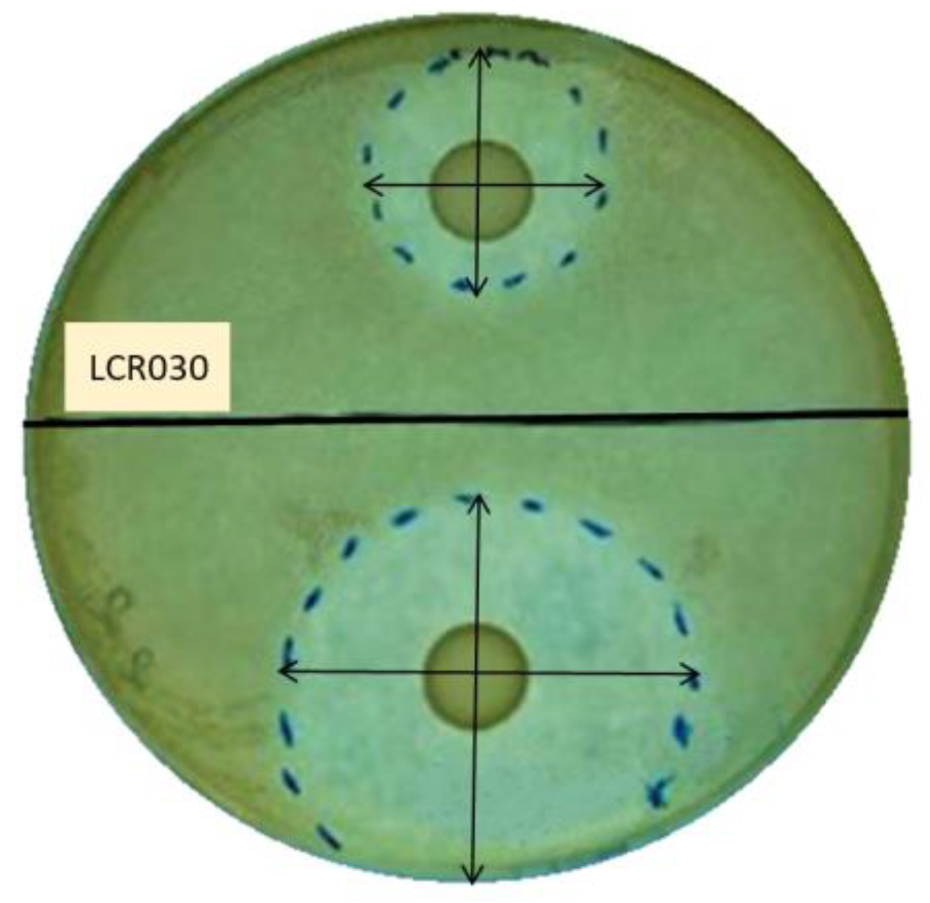 Microorganisms 12 00441 g001