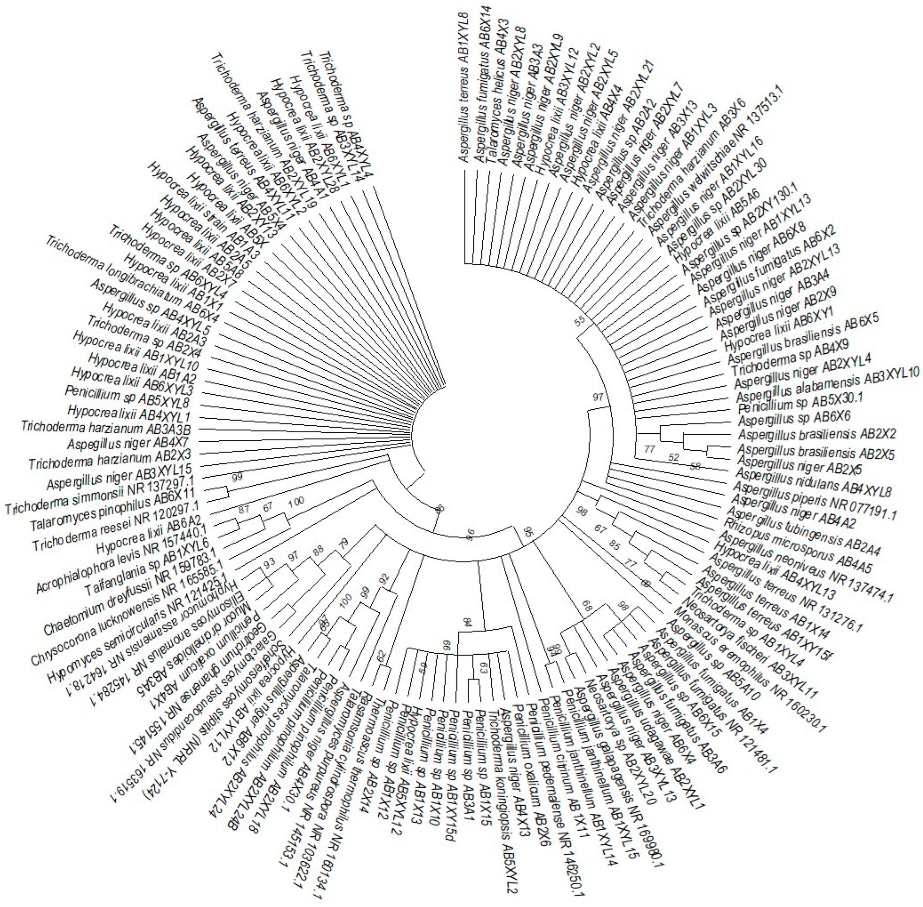 Microorganisms 12 00445 g007