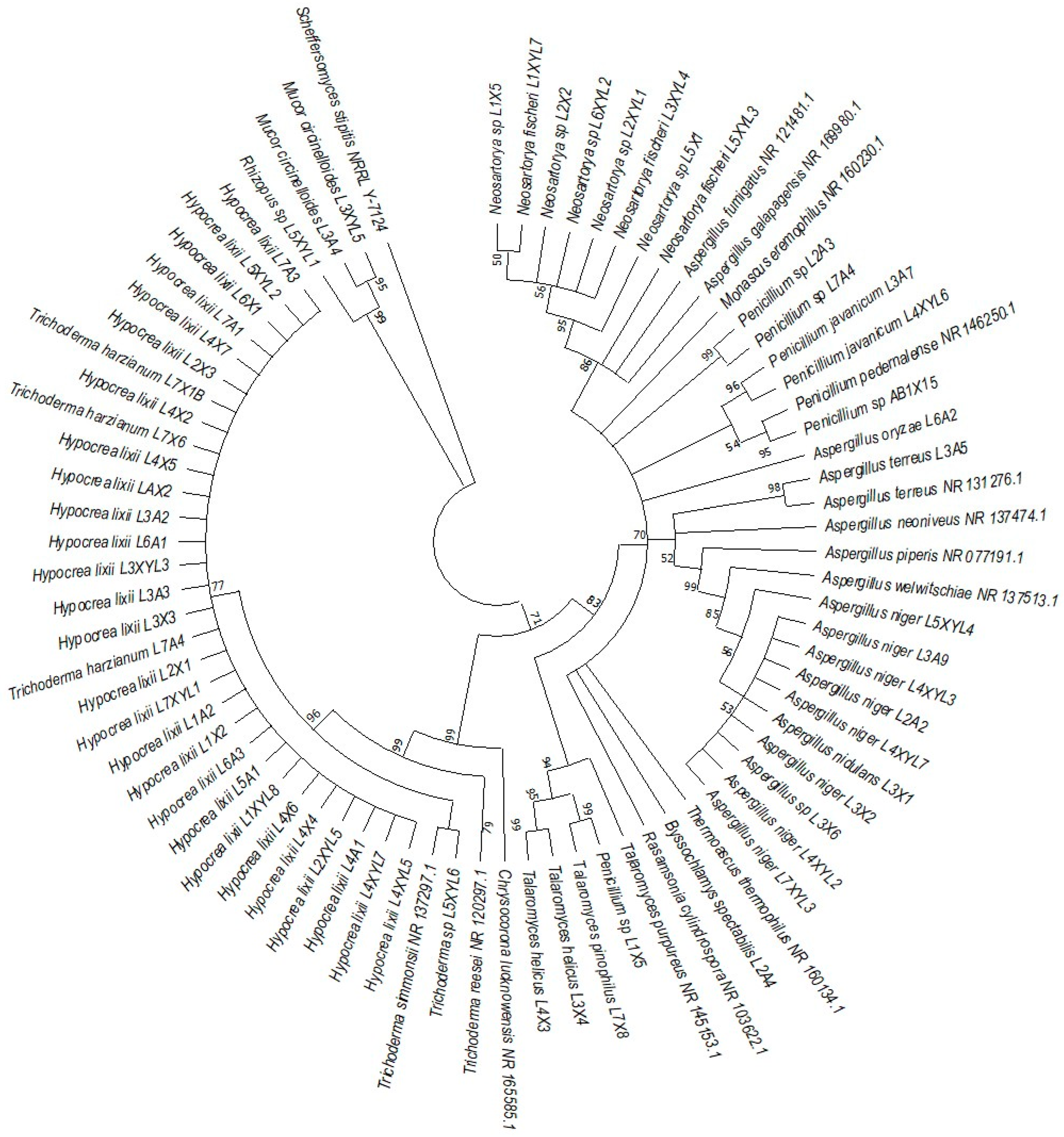 Microorganisms 12 00445 g009