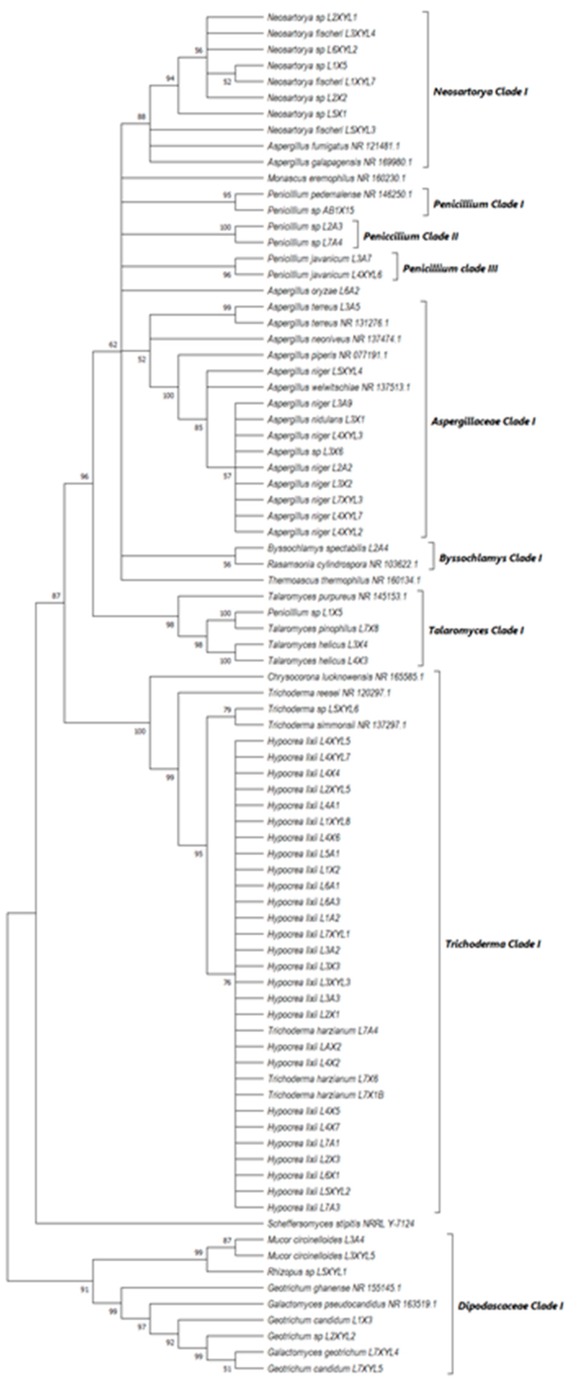 Microorganisms 12 00445 g010