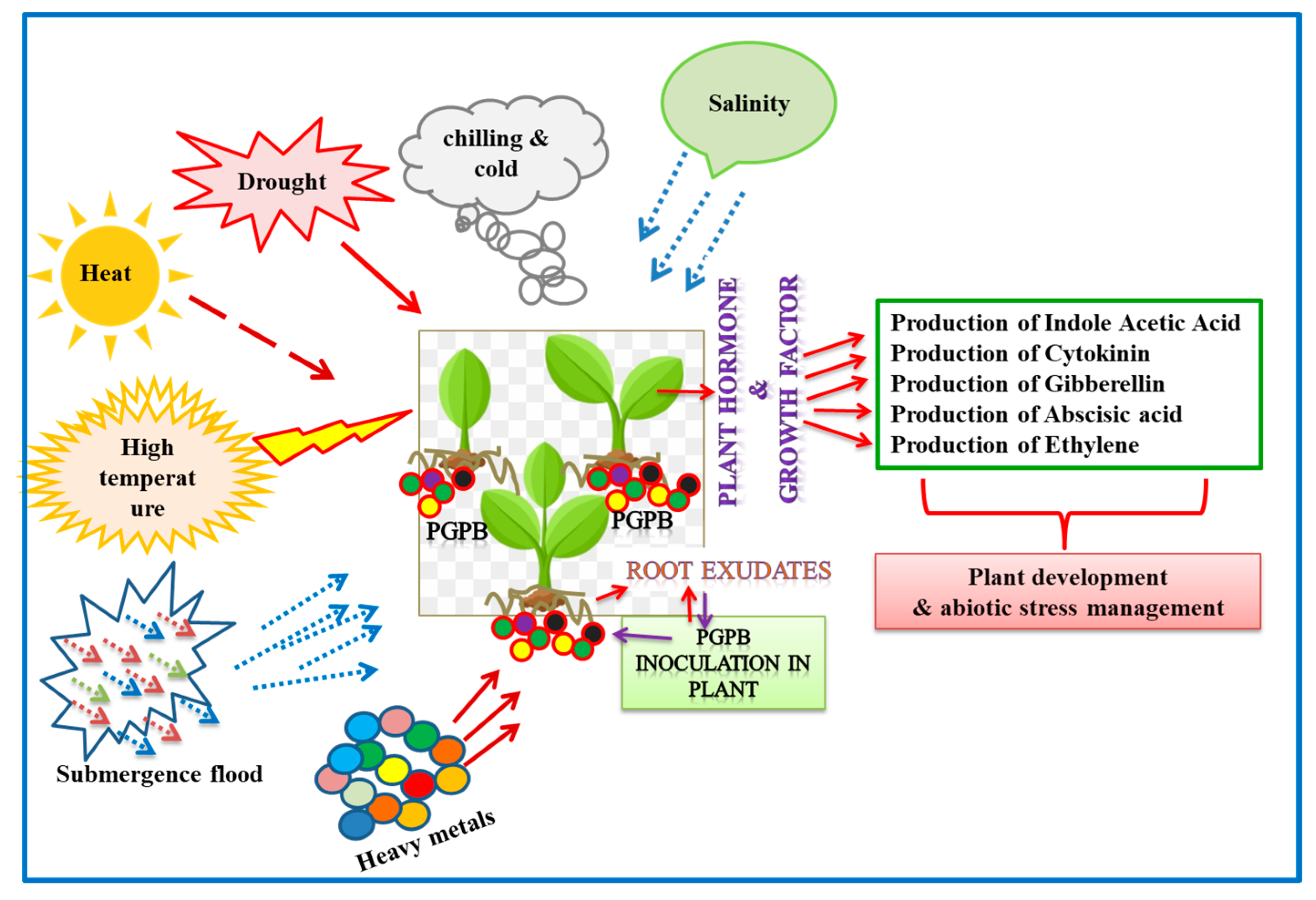 Microorganisms 12 00448 g001