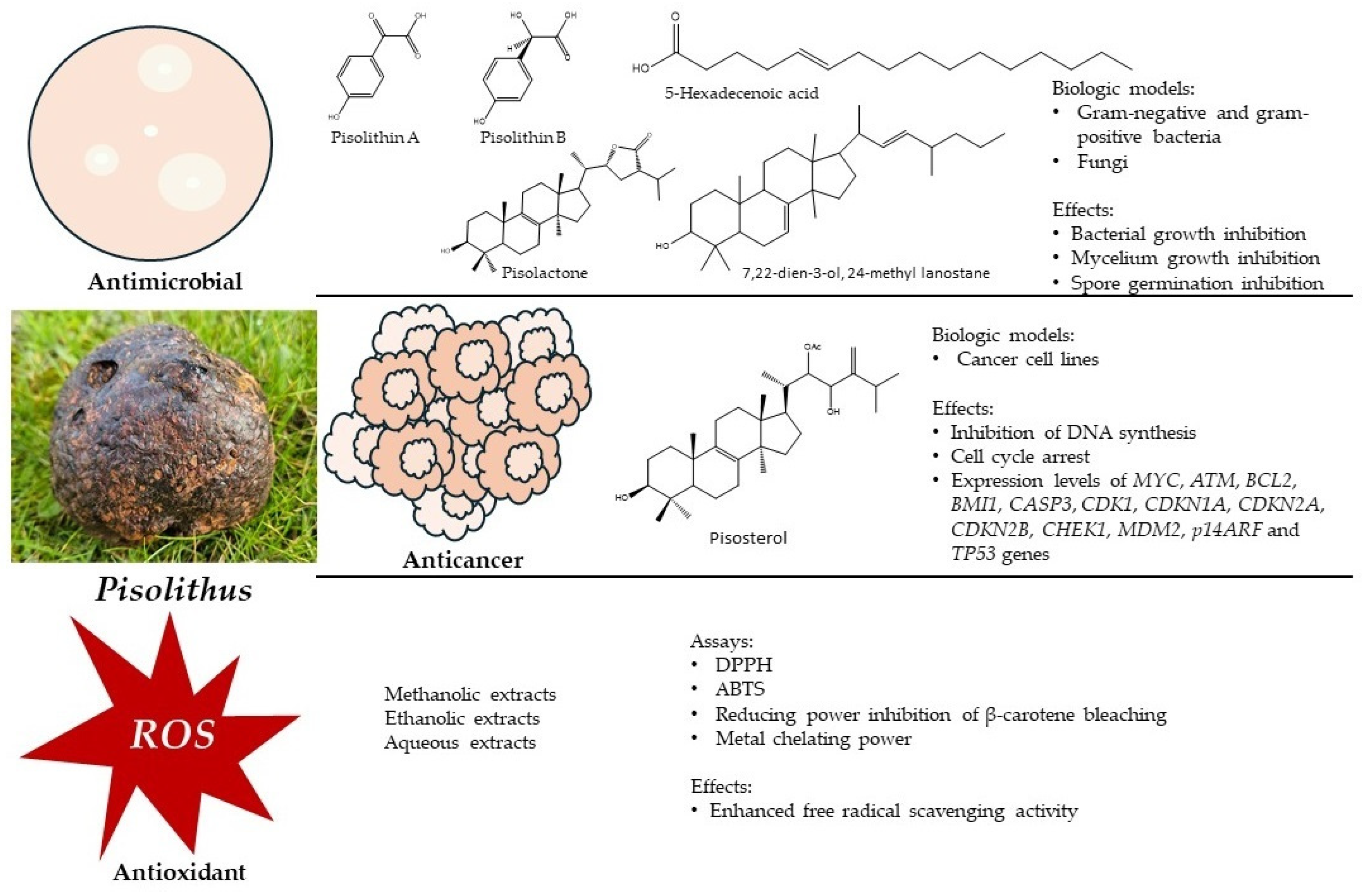 Microorganisms 12 00450 g001 Microorganisms 12 00450 g001