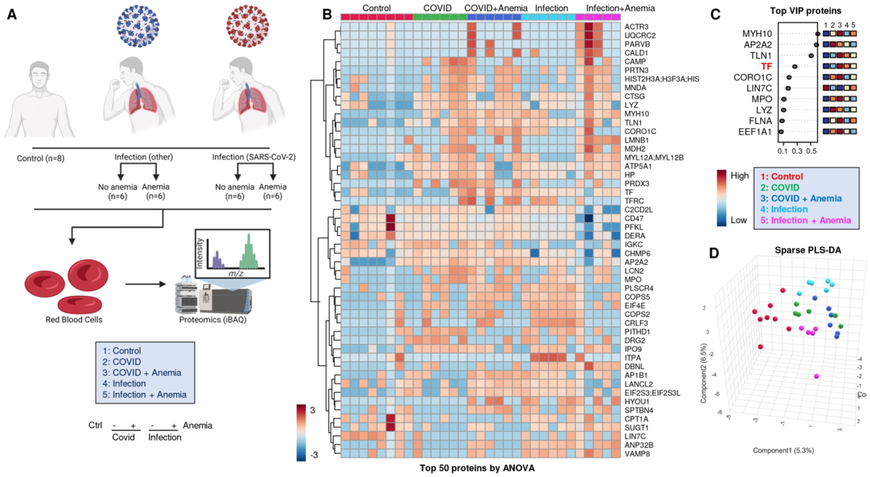 Microorganisms 12 00453 g002