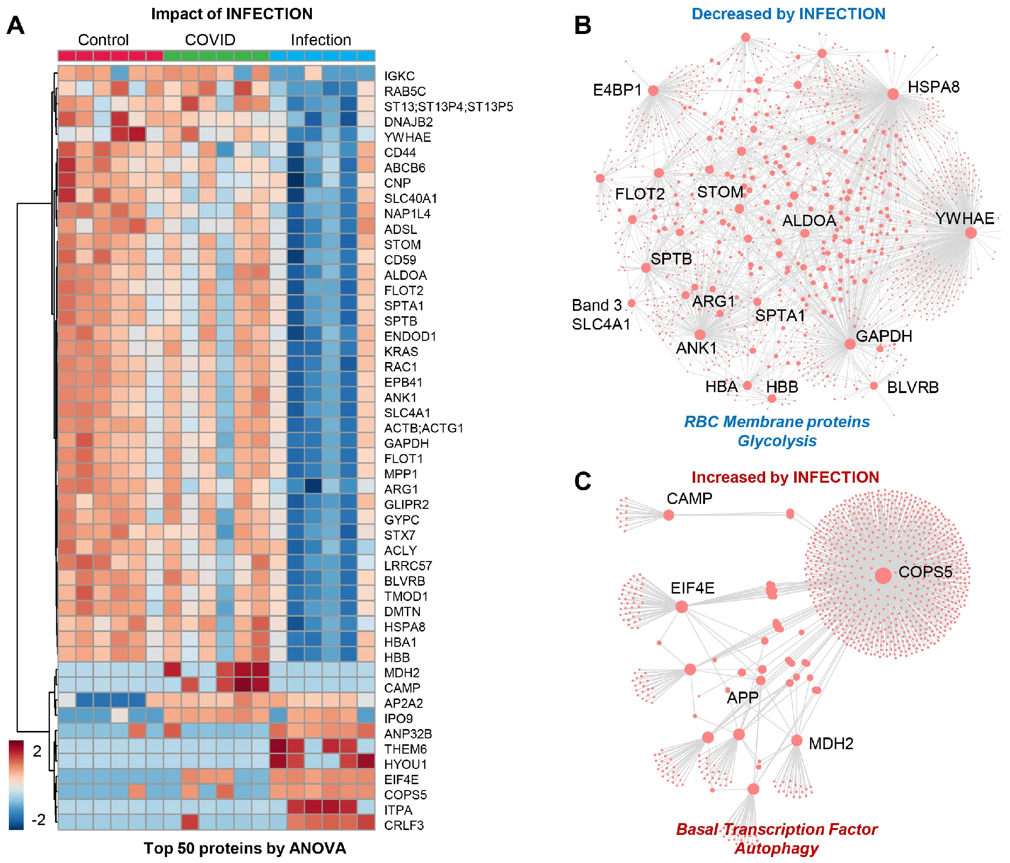 Microorganisms 12 00453 g003