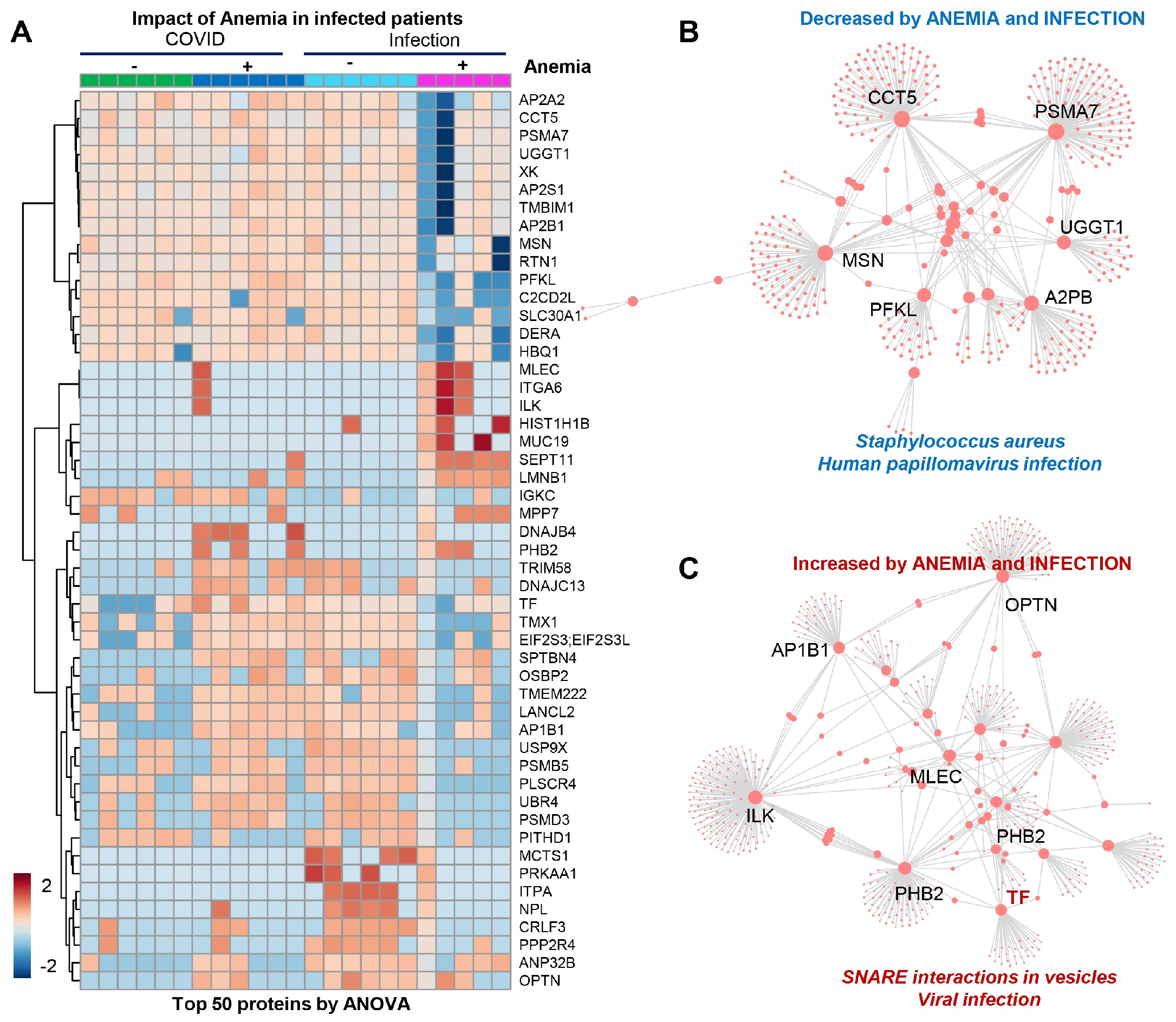 Microorganisms 12 00453 g004