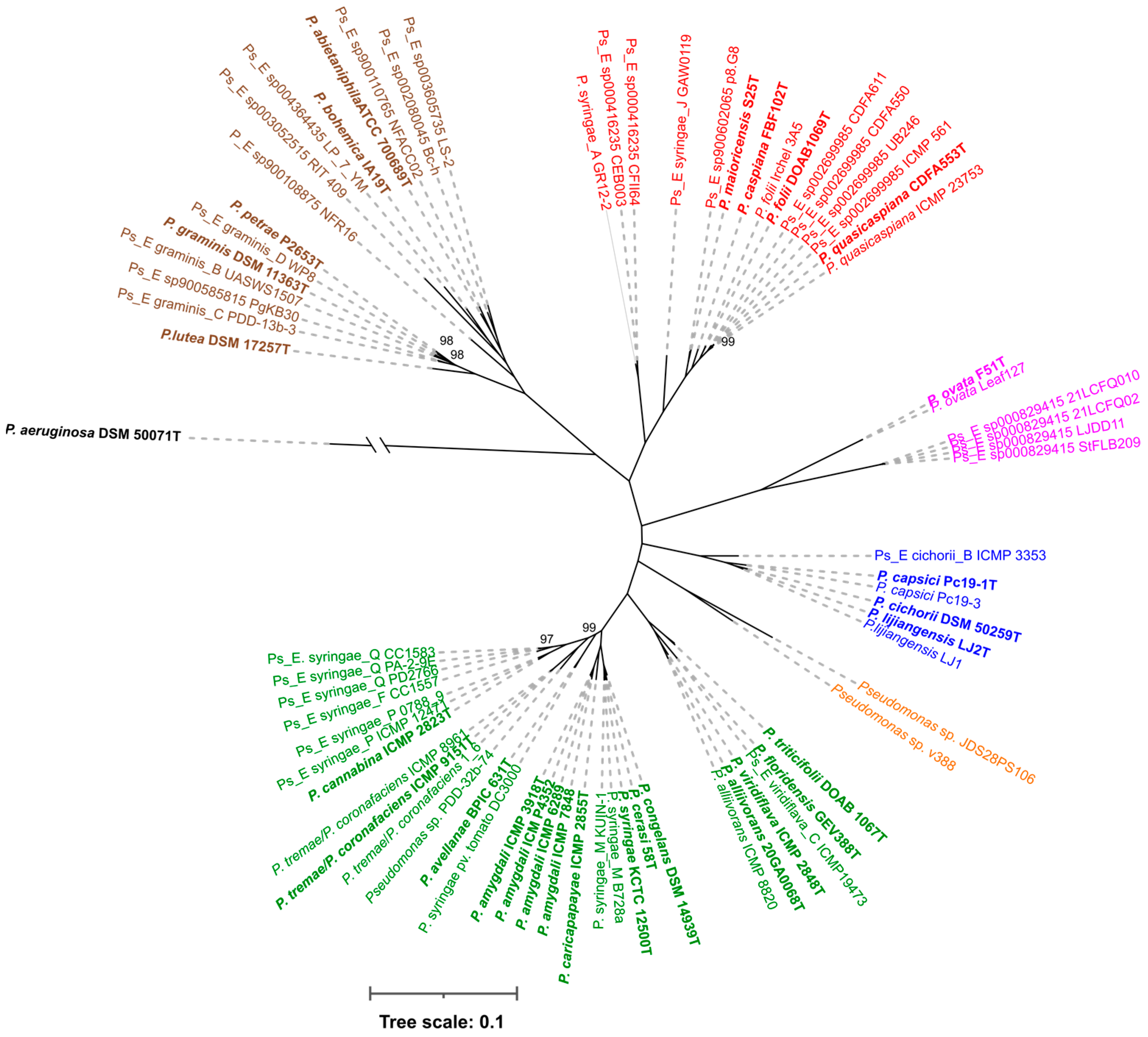 Microorganisms 12 00460 g001