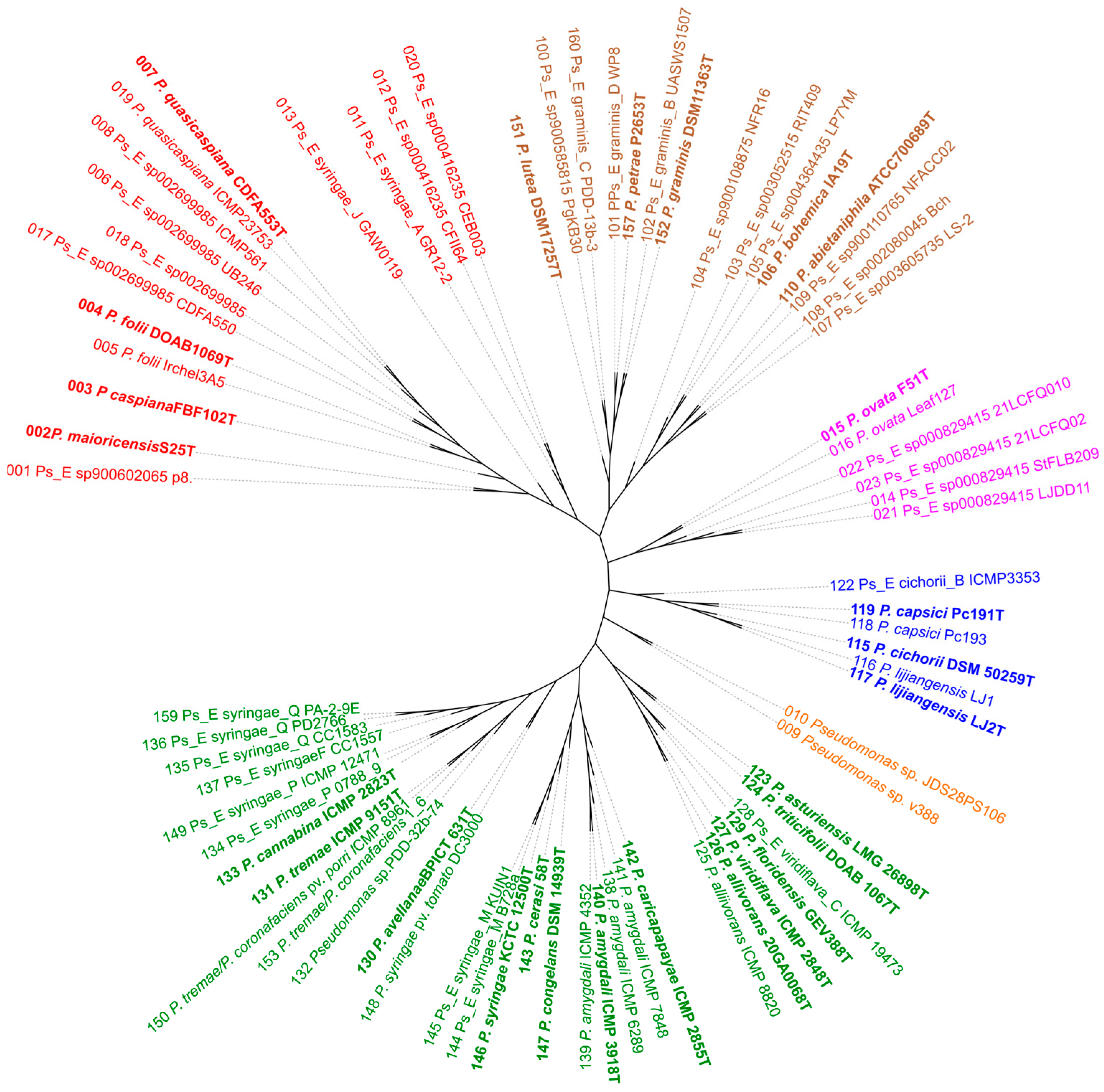 Microorganisms 12 00460 g002