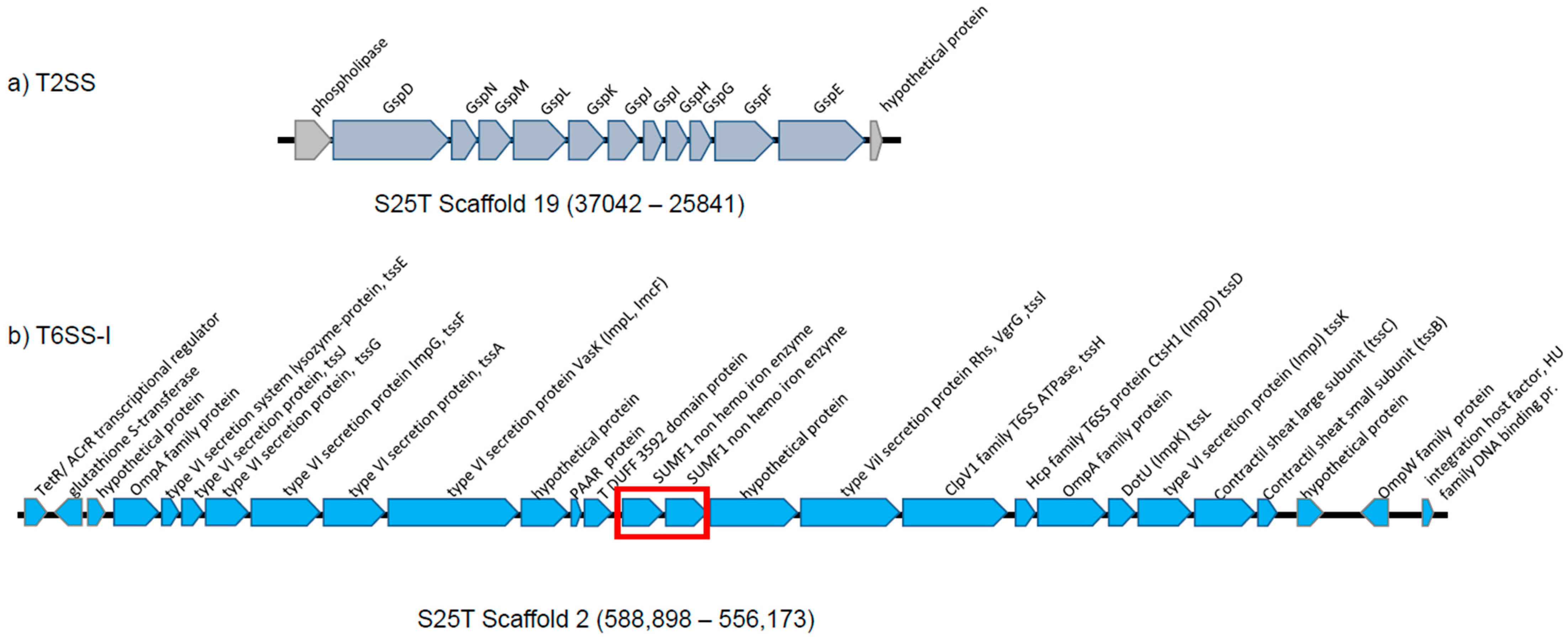 Microorganisms 12 00460 g006
