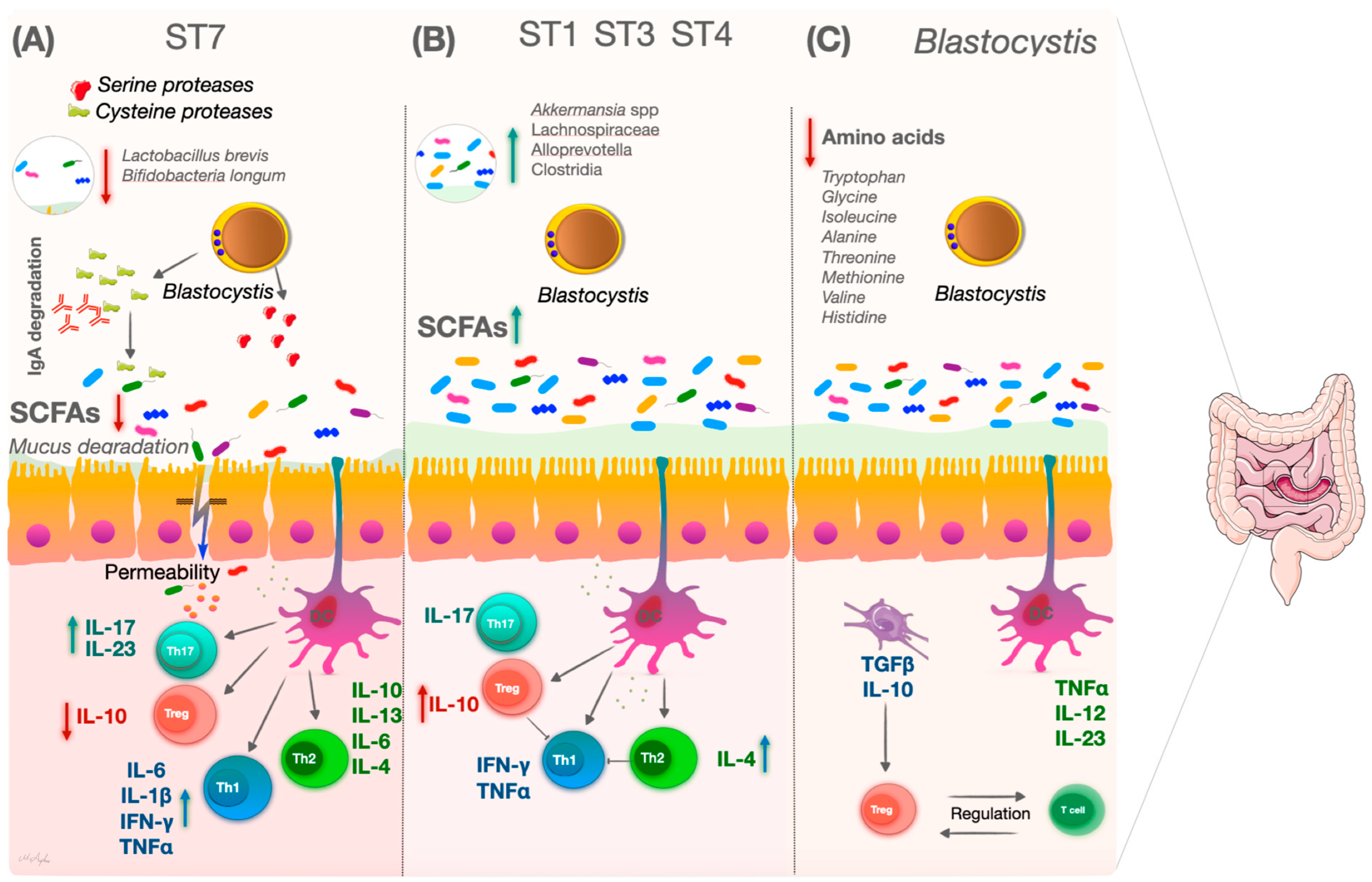 Microorganisms 12 00461 g002