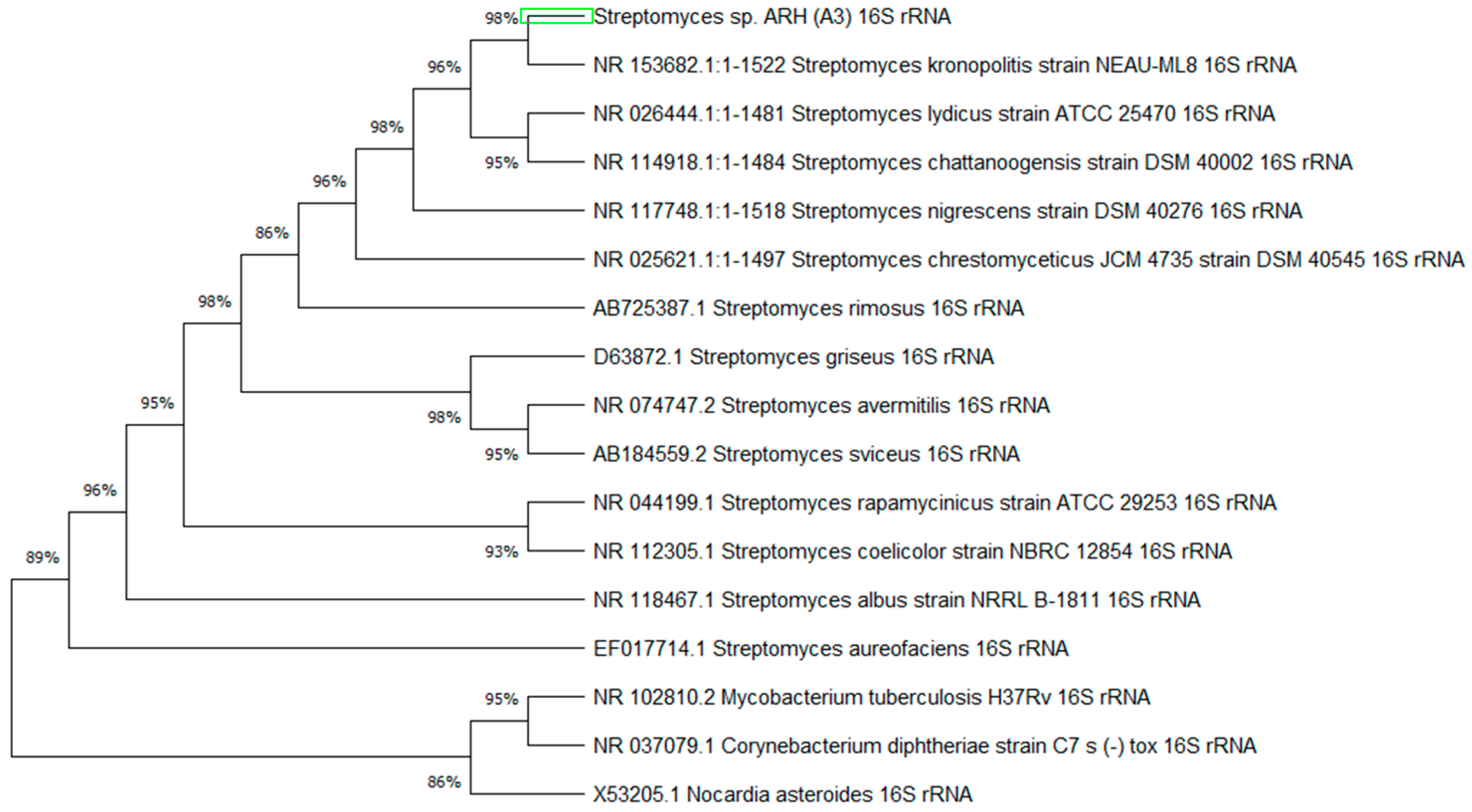 Microorganisms 12 00476 g002