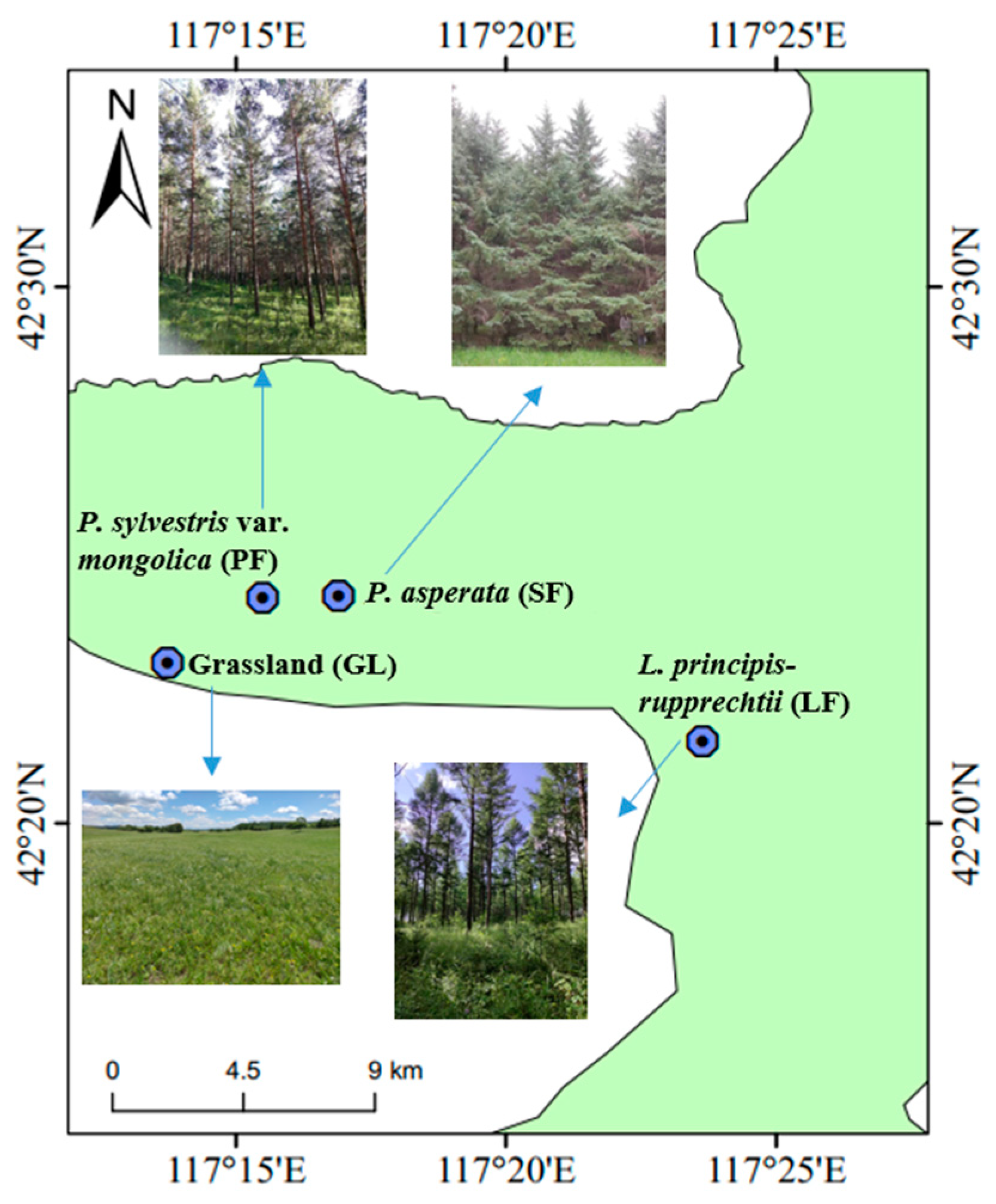 Microorganisms 12 00479 g001