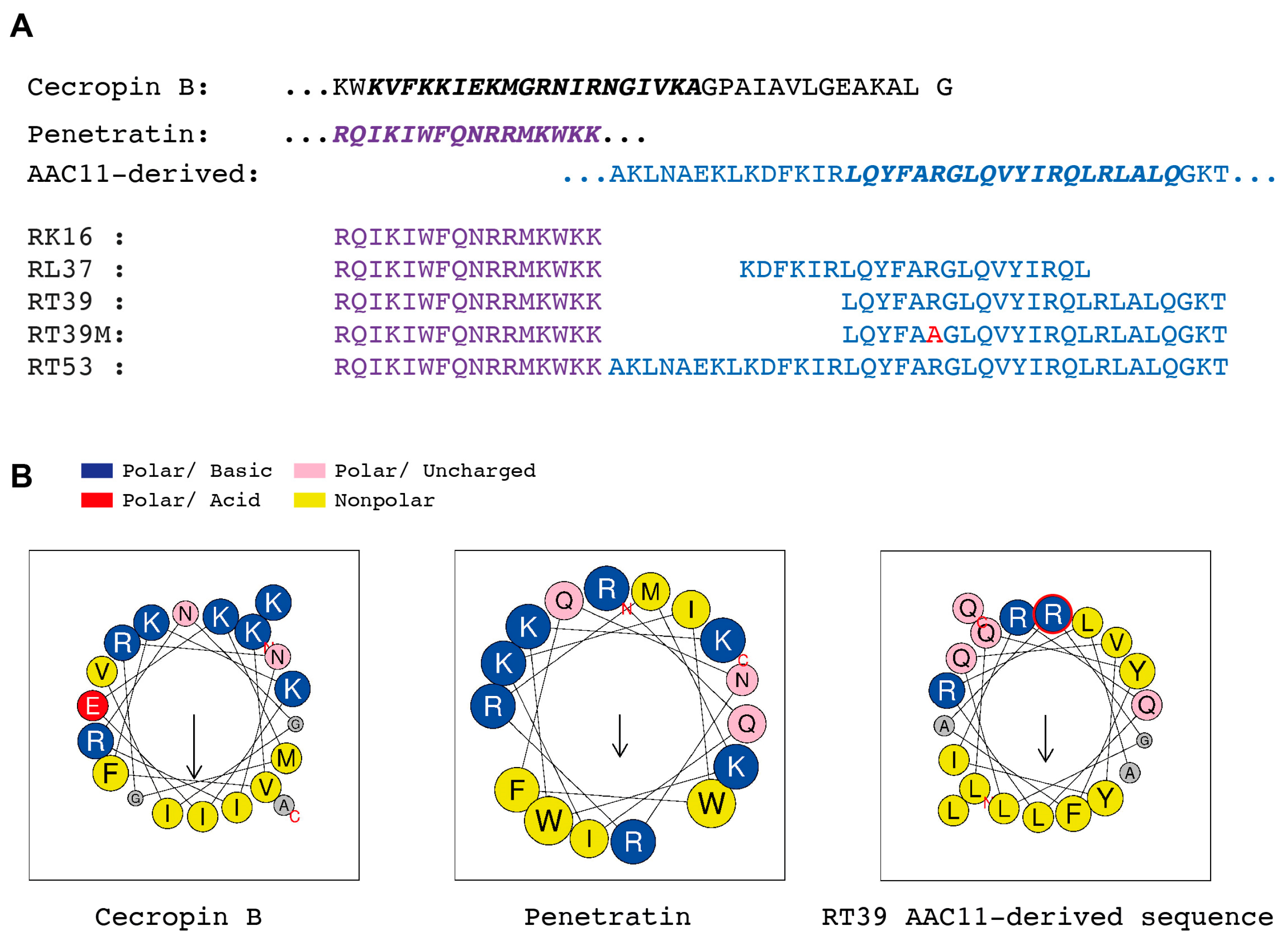 Microorganisms 12 00480 g001