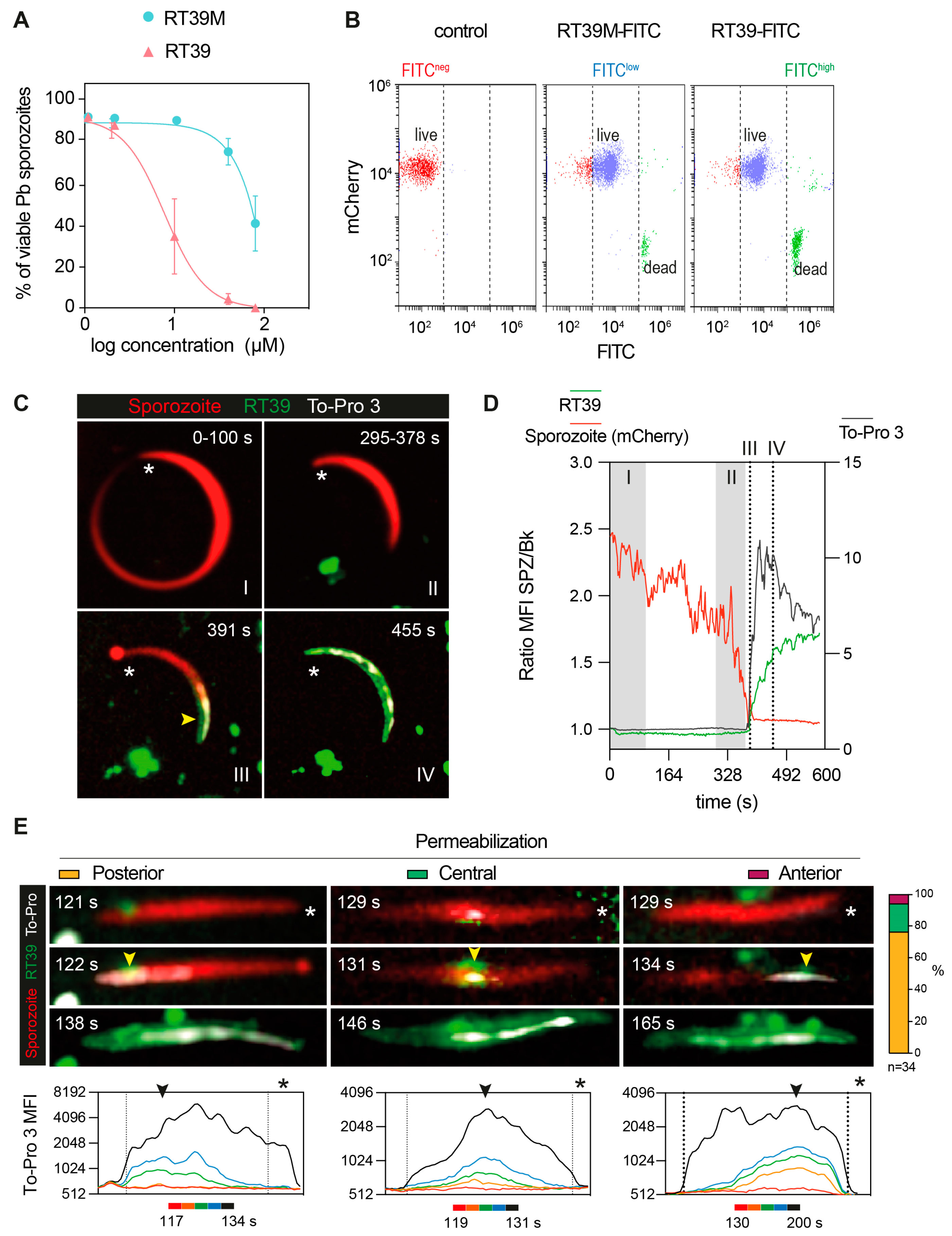 Microorganisms 12 00480 g004