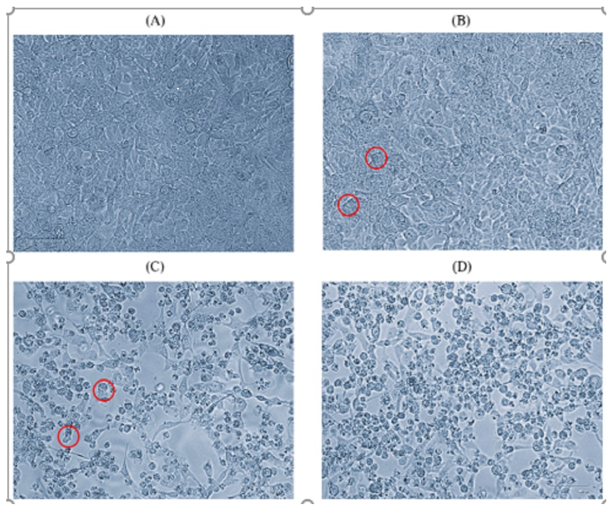 Microorganisms 12 00490 g001