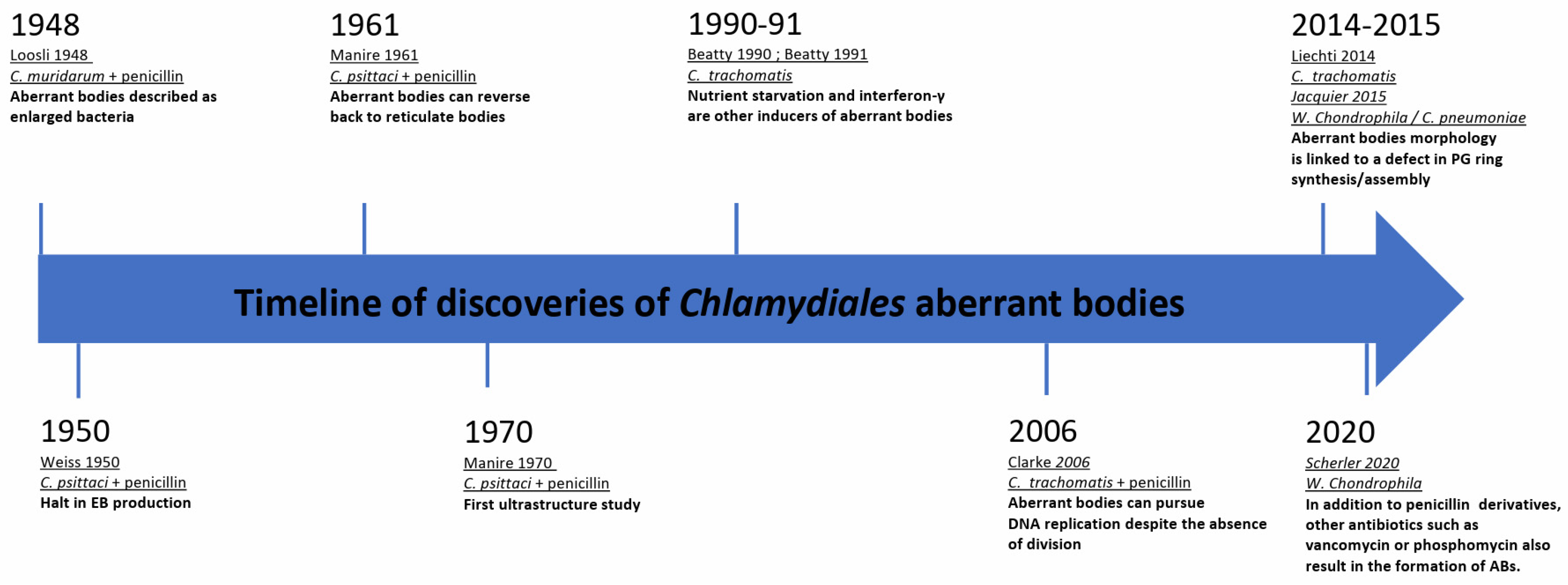 Microorganisms 12 00495 g001