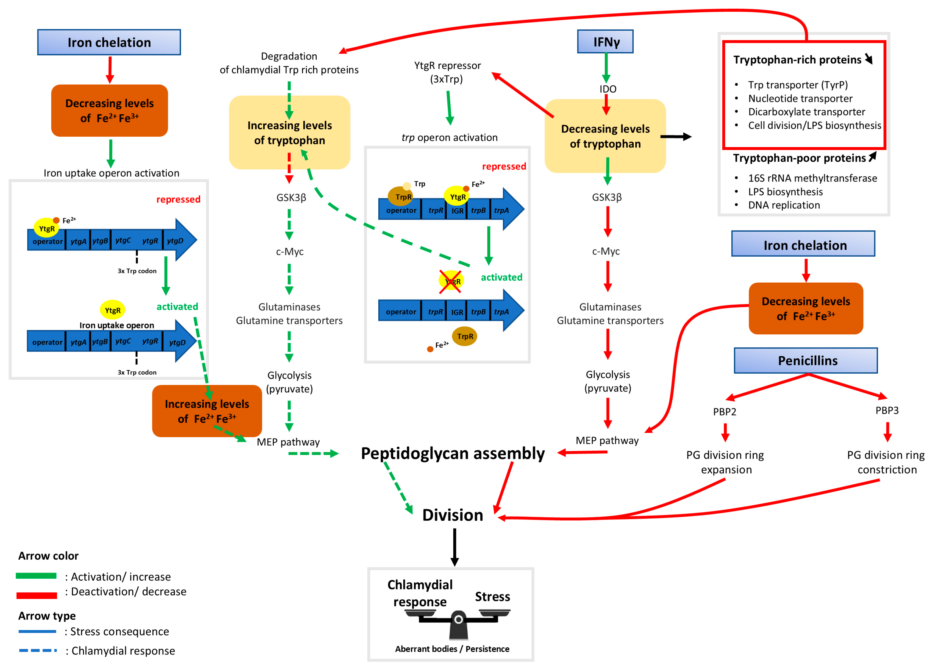 Microorganisms 12 00495 g002