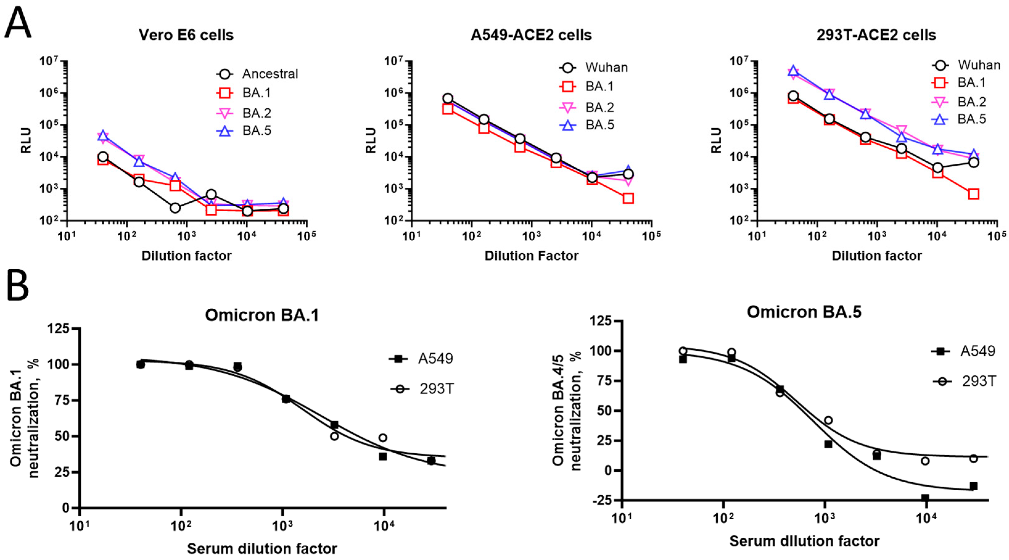 Microorganisms 12 00501 g003