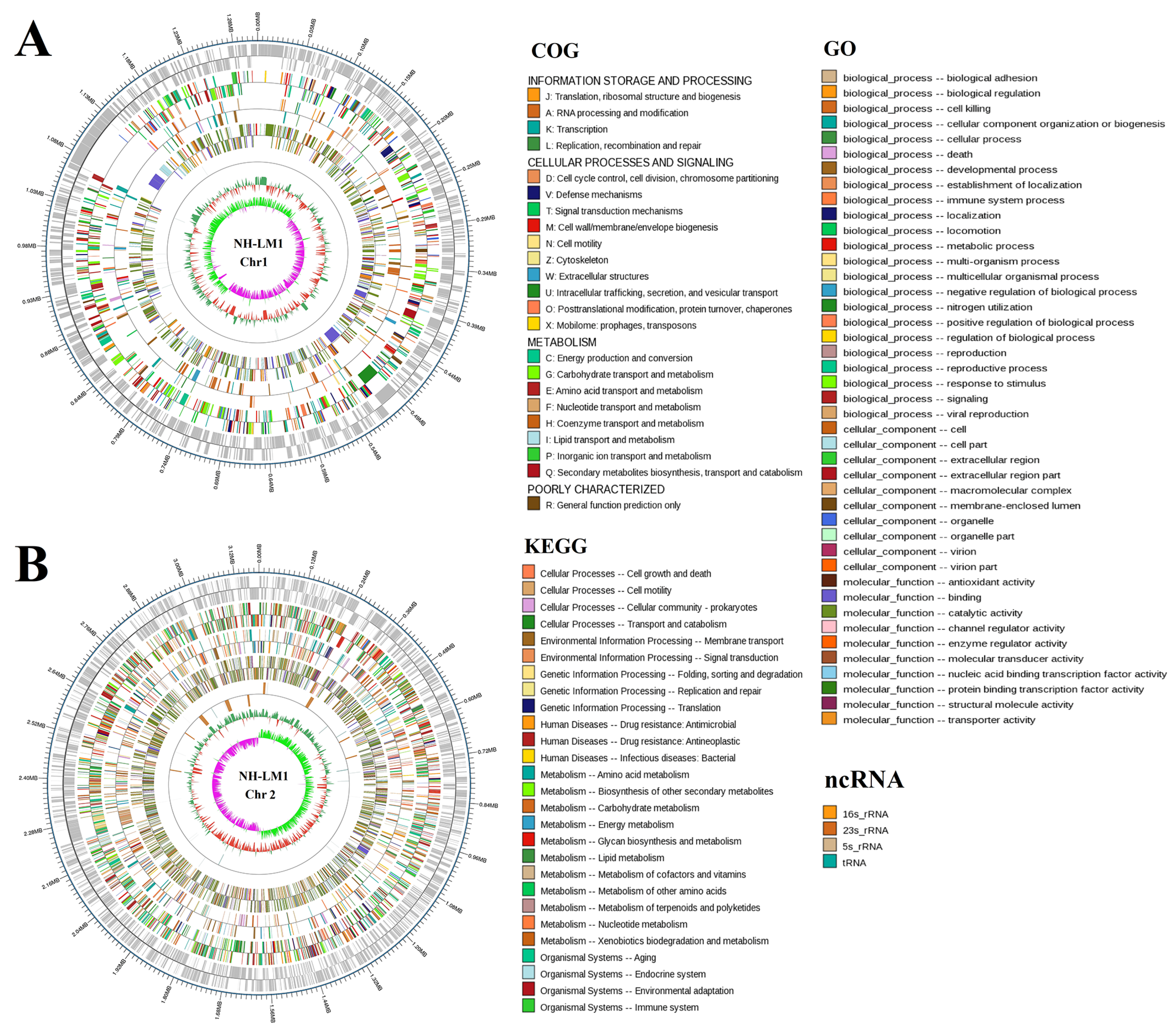 Microorganisms 12 00503 g003 Microorganisms 12 00503 g003