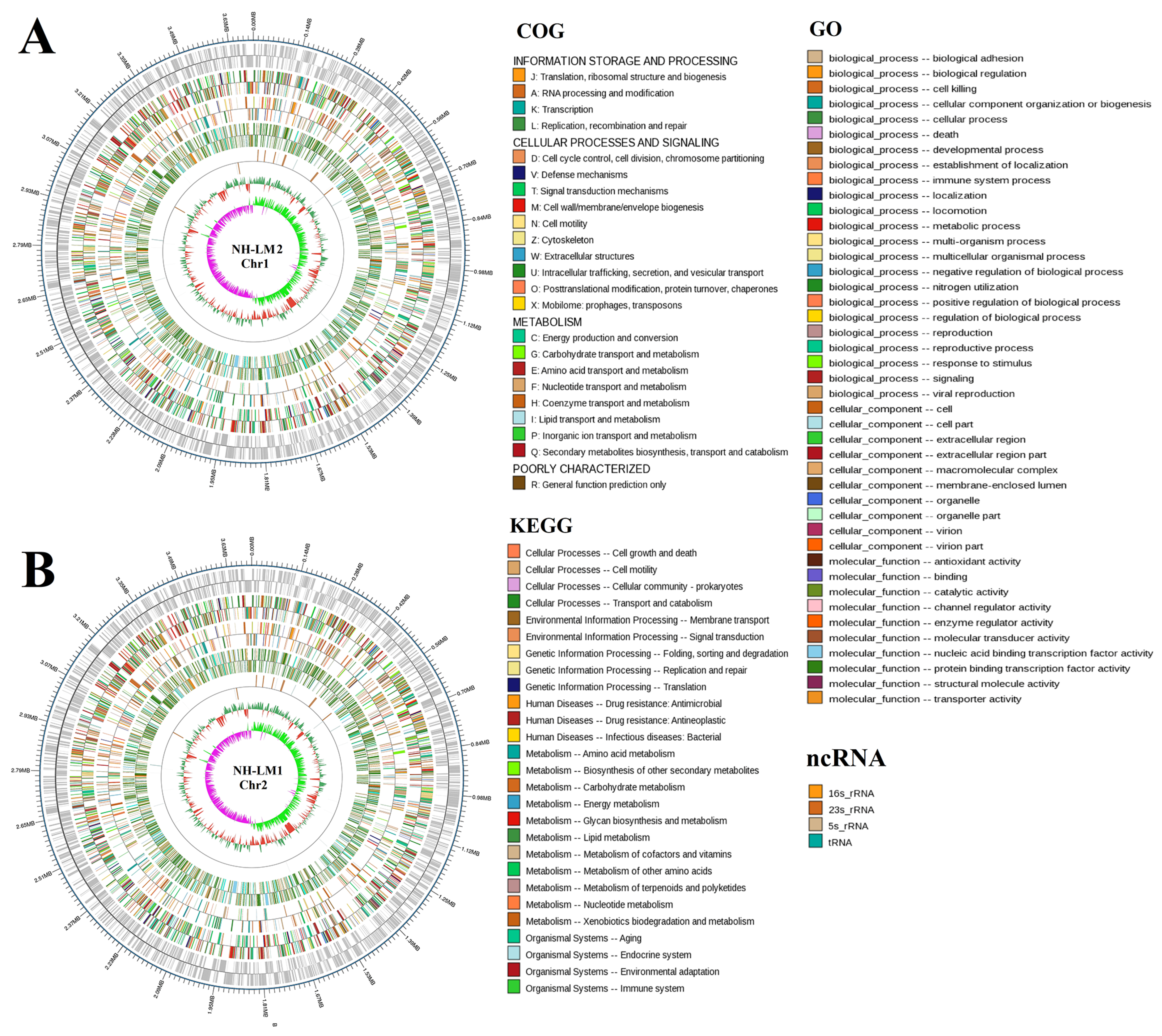 Microorganisms 12 00503 g004 Microorganisms 12 00503 g004