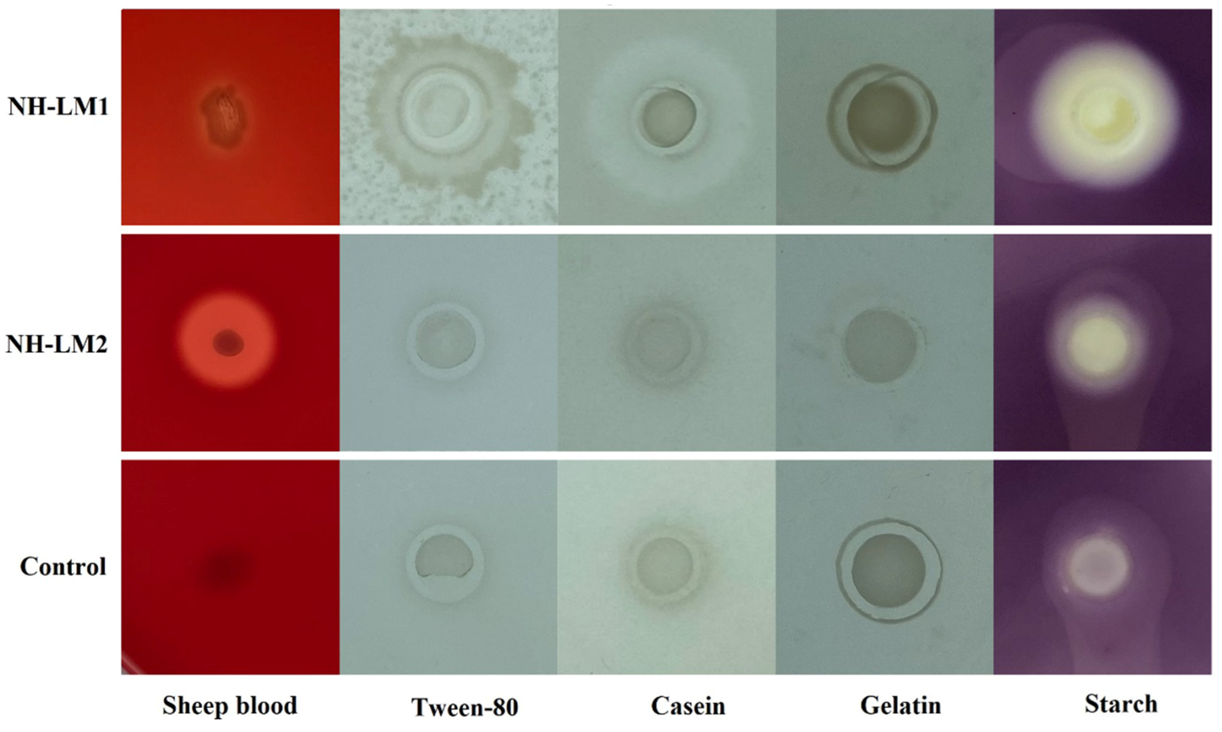 Microorganisms 12 00503 g006 Microorganisms 12 00503 g006