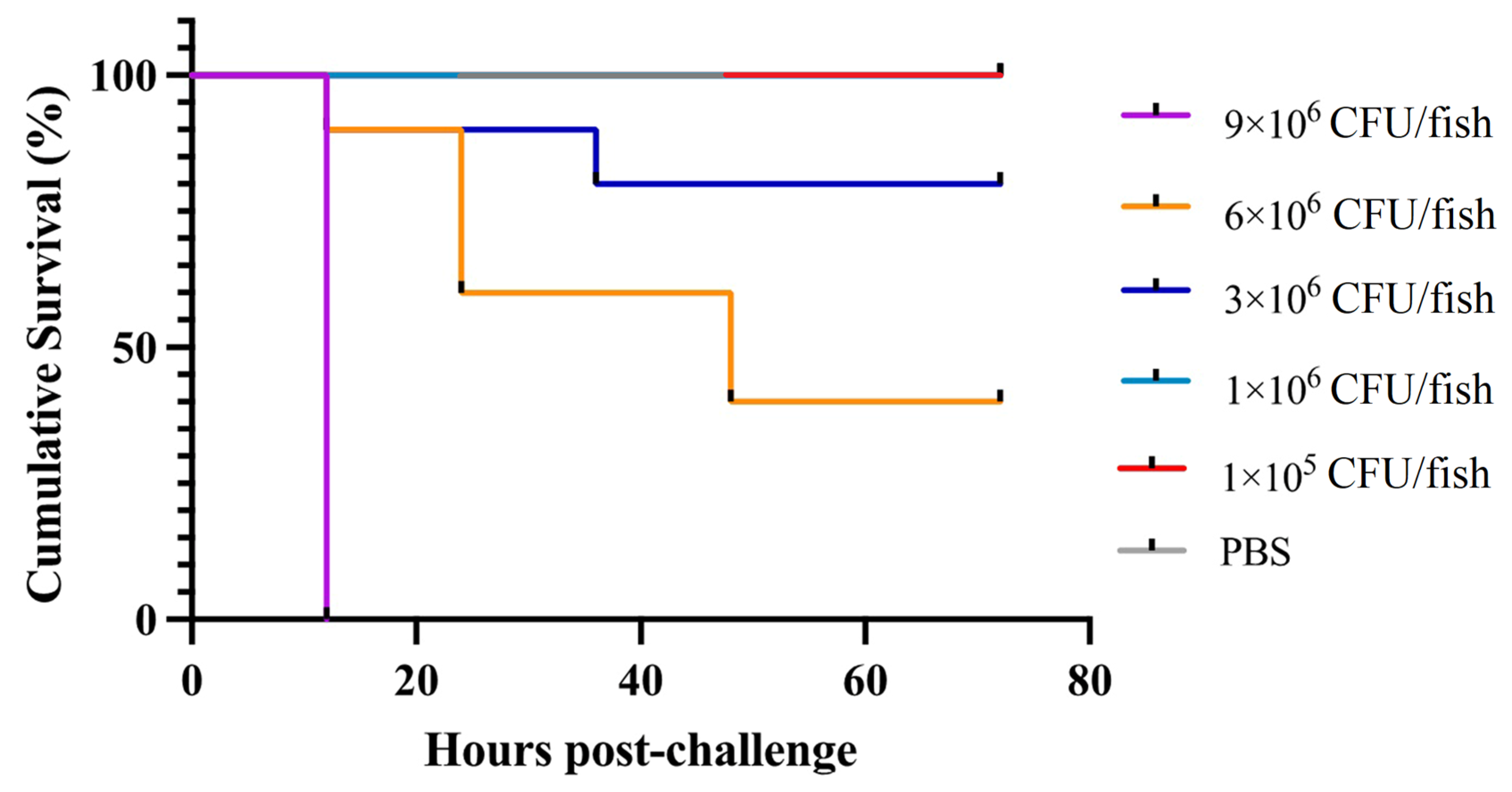 Microorganisms 12 00503 g007 Microorganisms 12 00503 g007