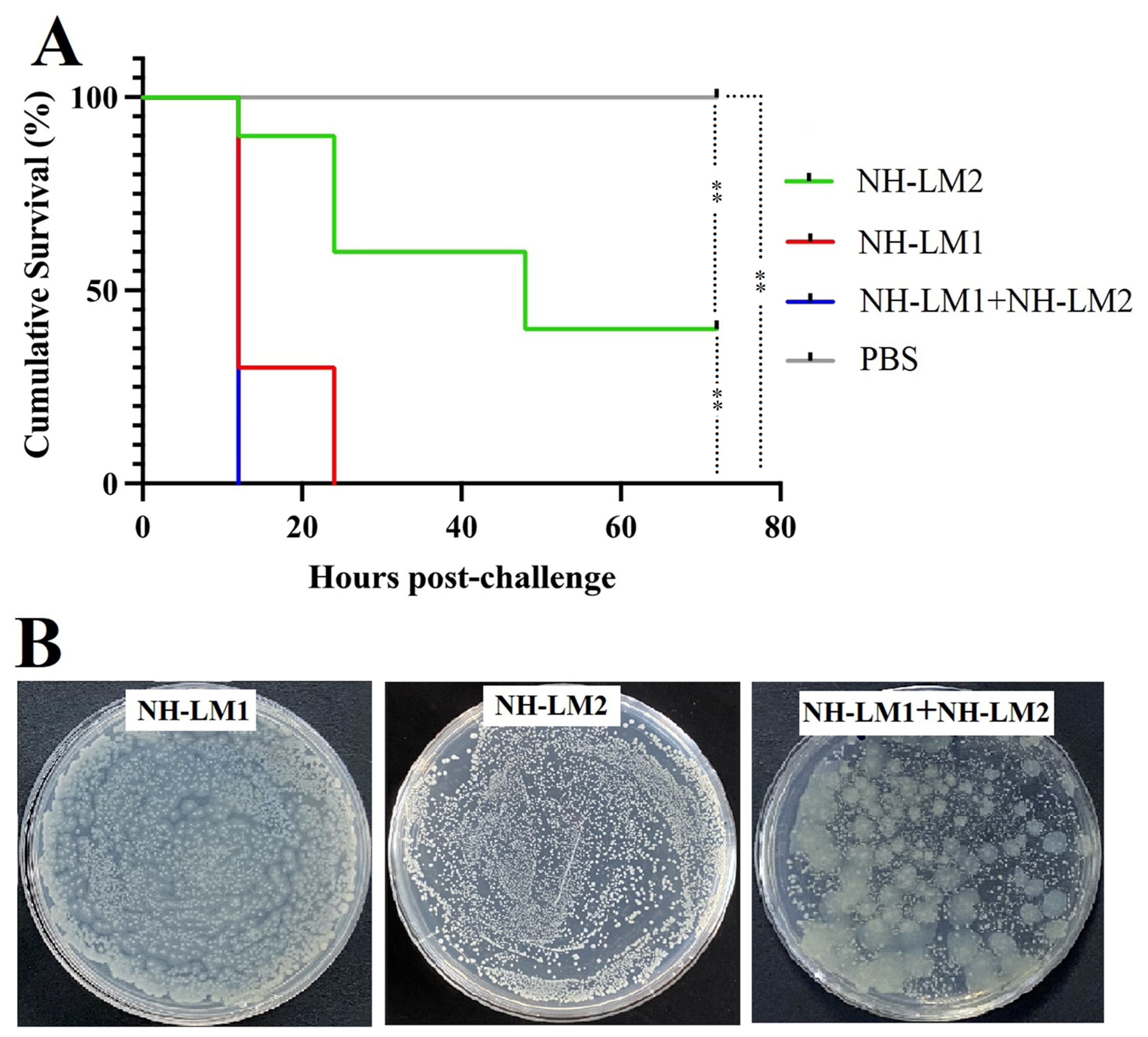 Microorganisms 12 00503 g009 Microorganisms 12 00503 g009