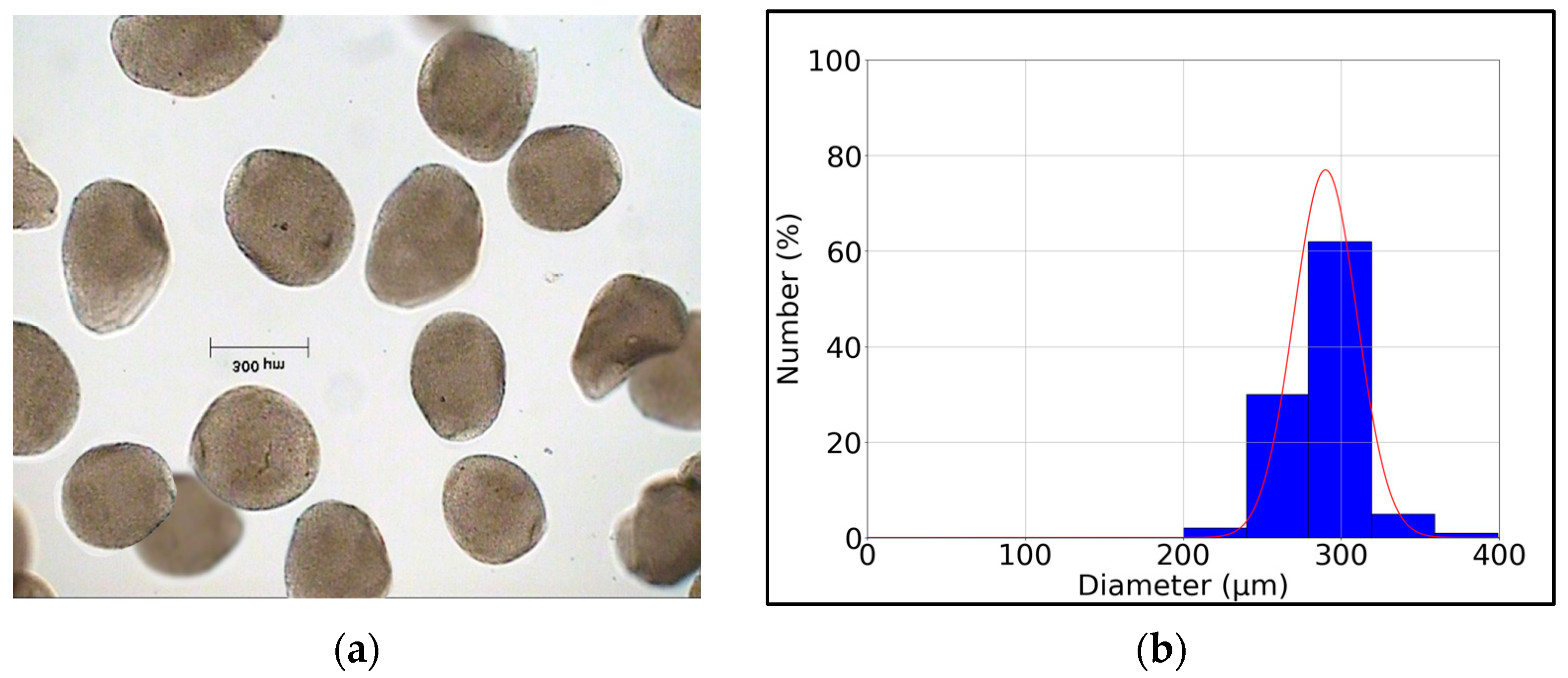 Microorganisms 12 00506 g002