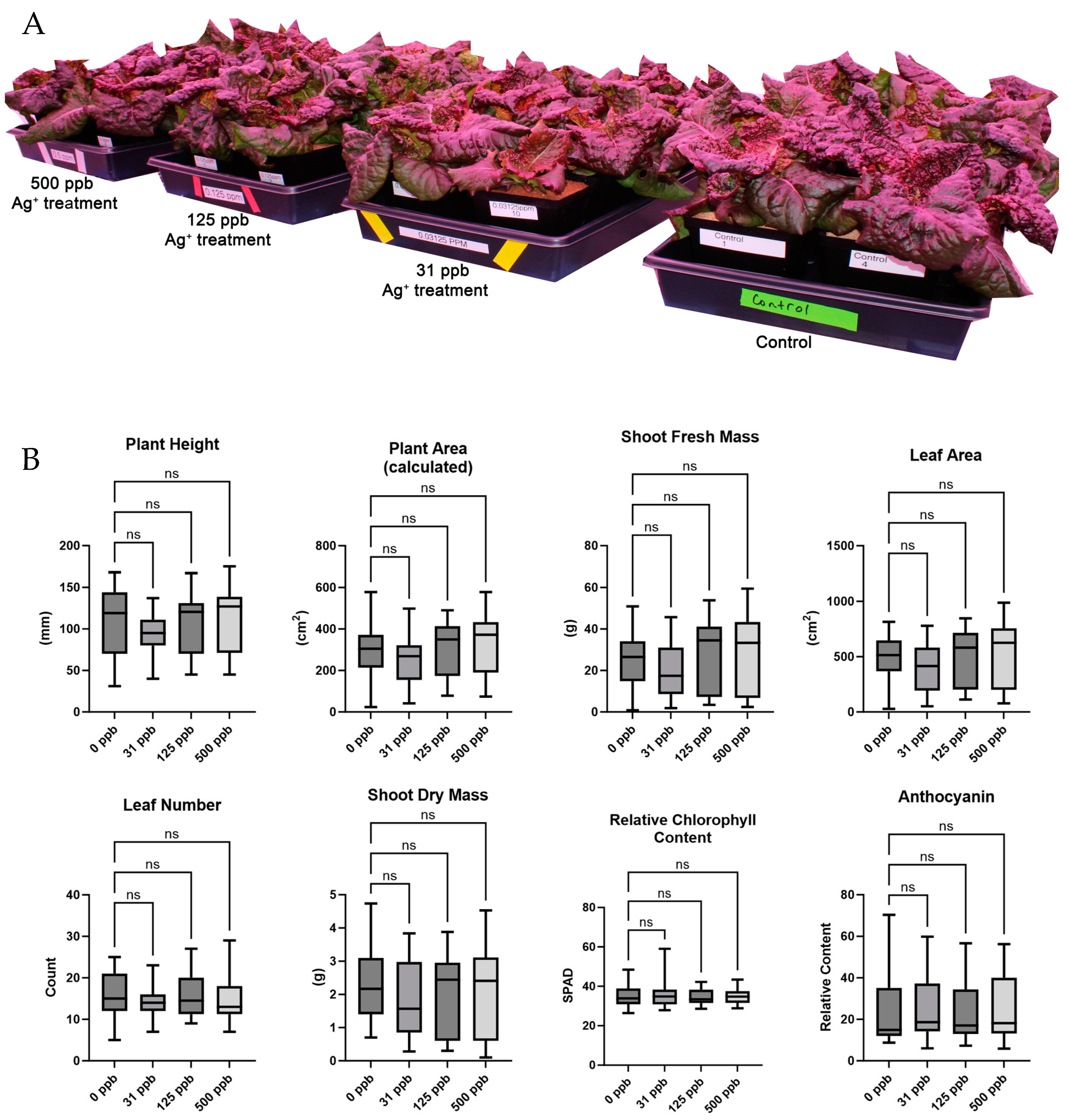 Microorganisms 12 00515 g002