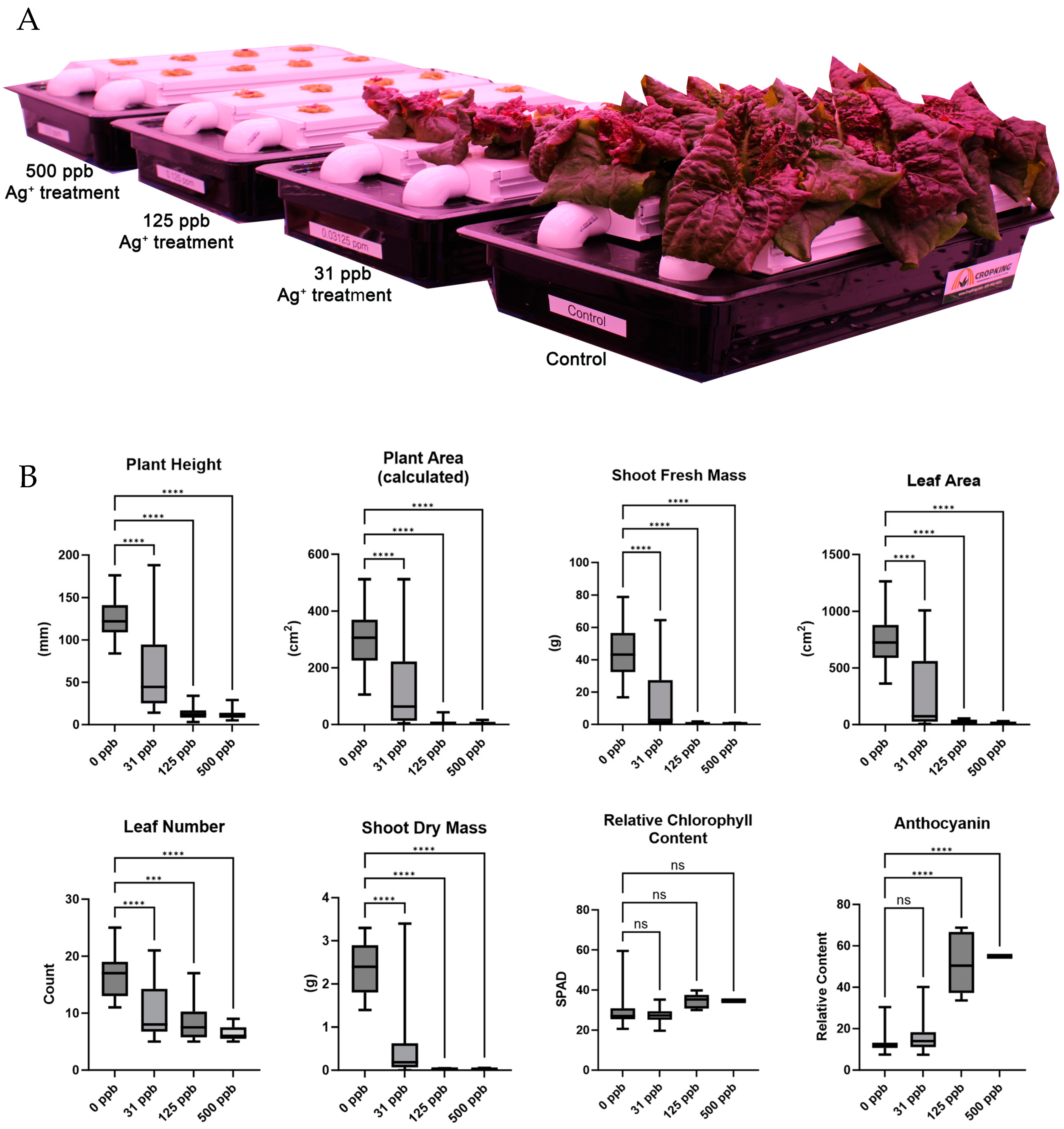 Microorganisms 12 00515 g003